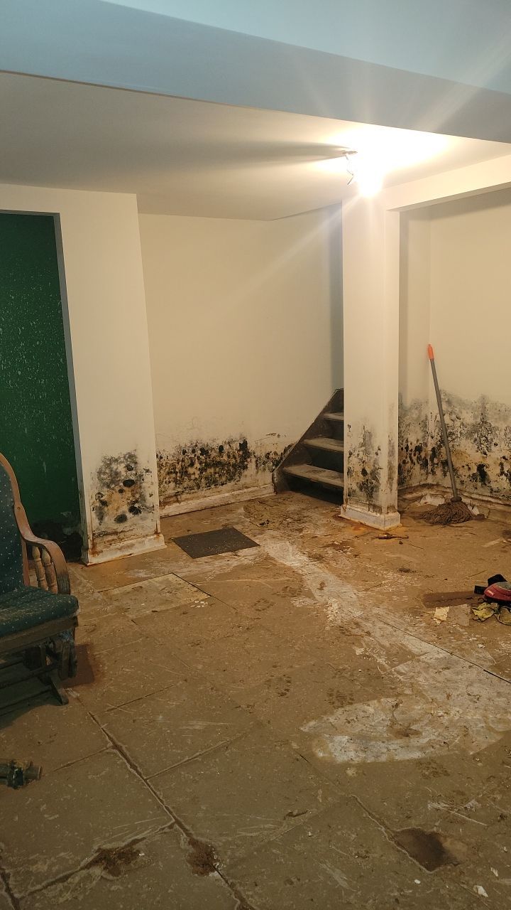Grossly Contaminated Basement Mold by Chicagoland Water Medics