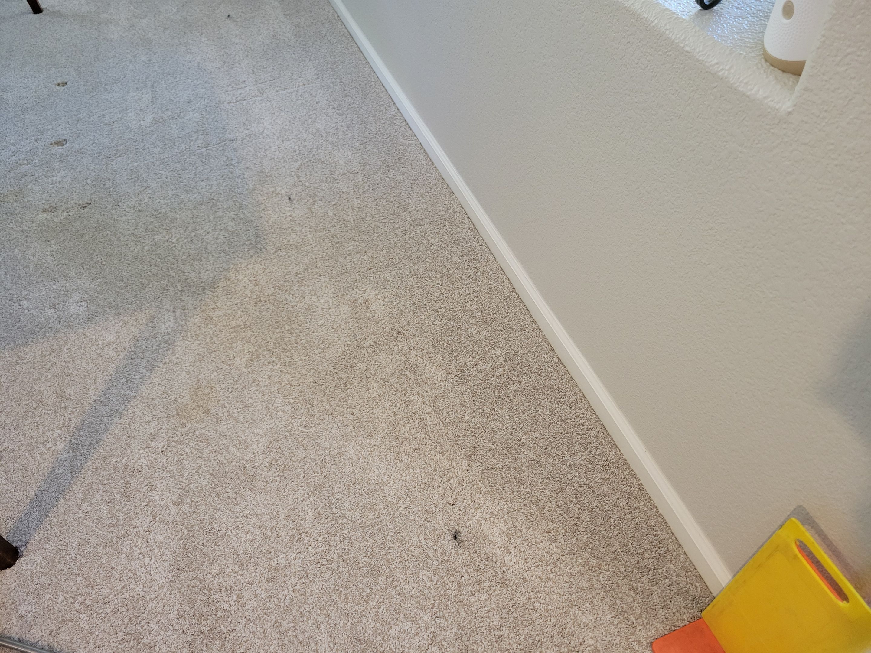 Carpet Cleaning of Grease Spots by Ardent Carpet Restore LLC