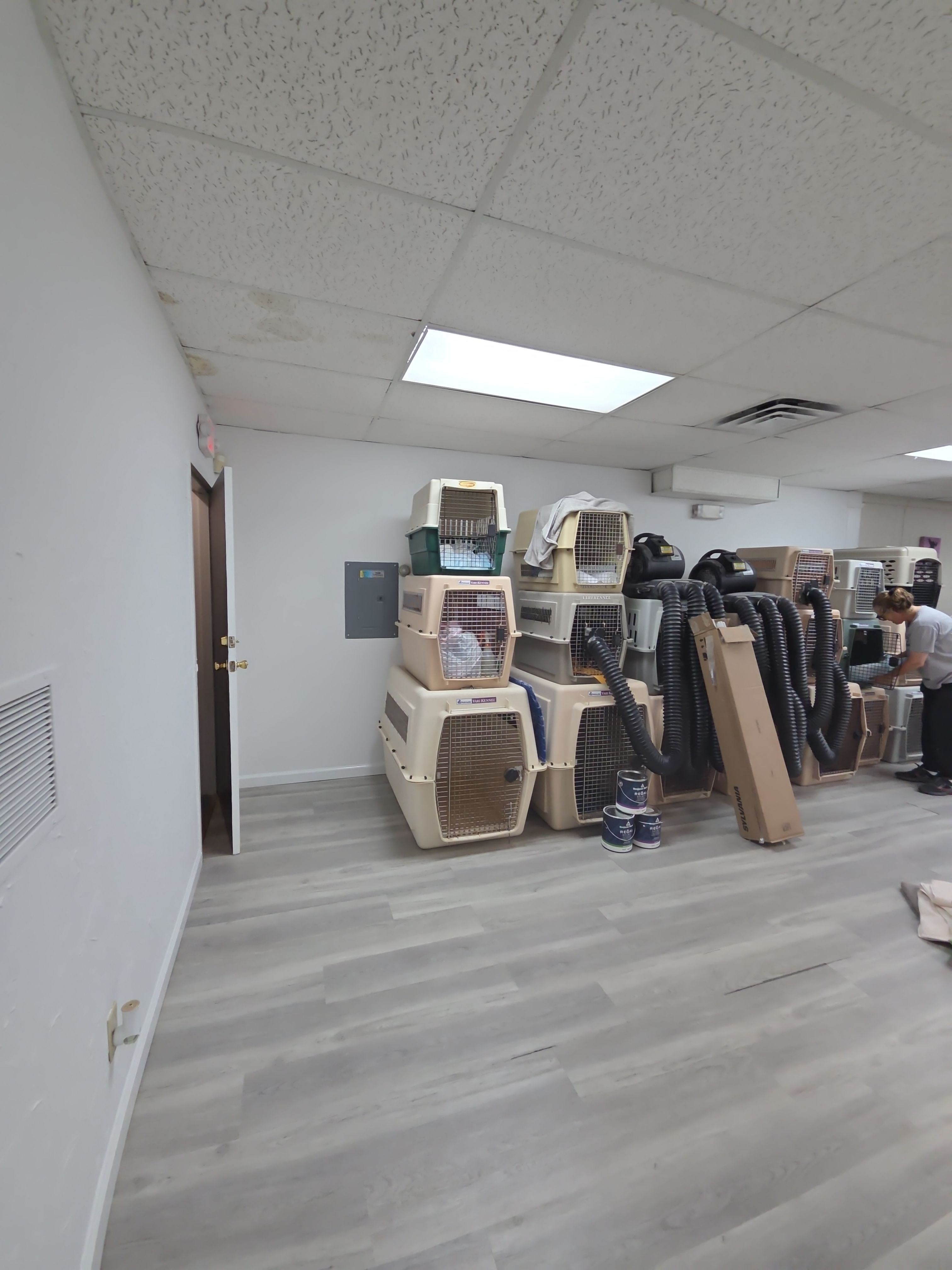 Commercial Interior Painting for Hillsdale Pet Grooming Facility by Spectrum Painting, LLC