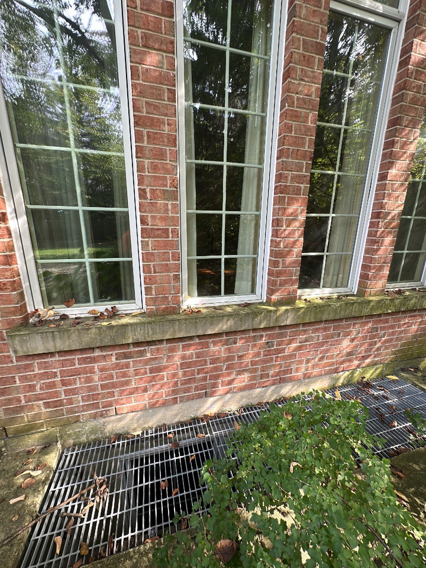 natural stone using Algaecide, soft wash soap by Northern Power Washing LLC.