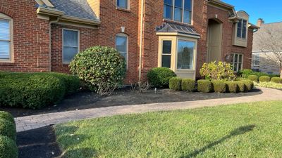 Fall Clean Up & Prune