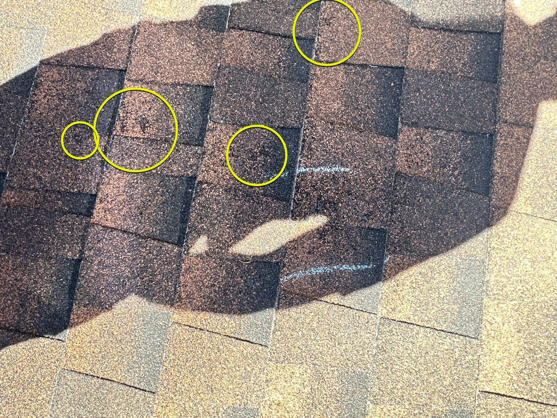 1700 Nelson Road • Bozeman, Montana 59718 by swagg construction