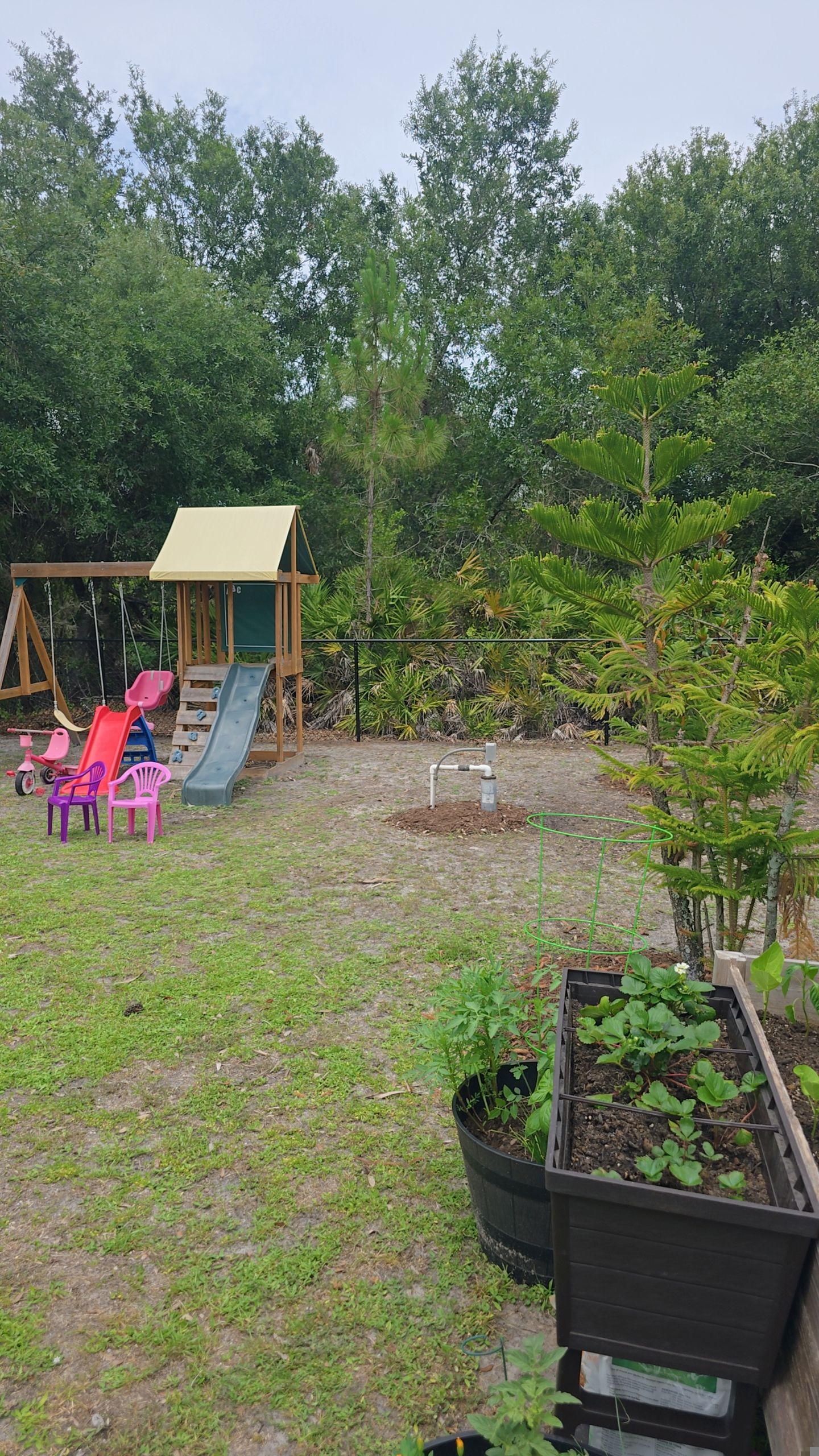 Residential Black Chain-Link Fence Installation in North Port by True Fence LLC