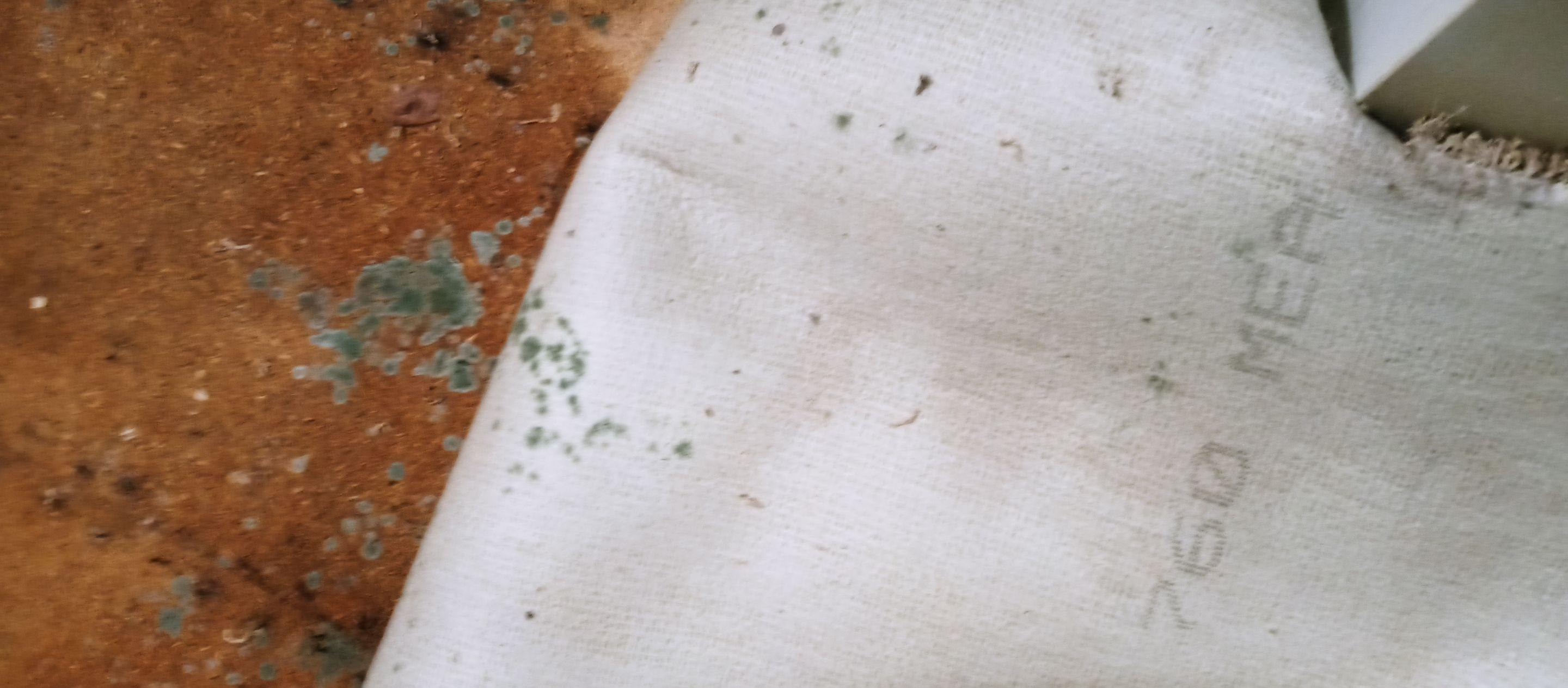 Water Mitigation, Mold Remediation and Repairs of Home in Memphis, IN by ANR Restoration