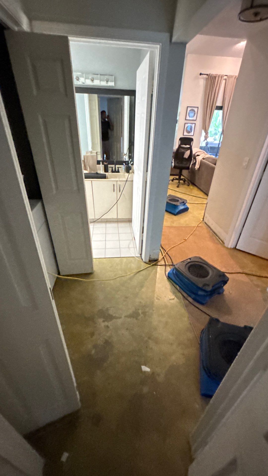 Wellington Water Damage Restoration with Thermal Imaging and Extraction by SuperClean 