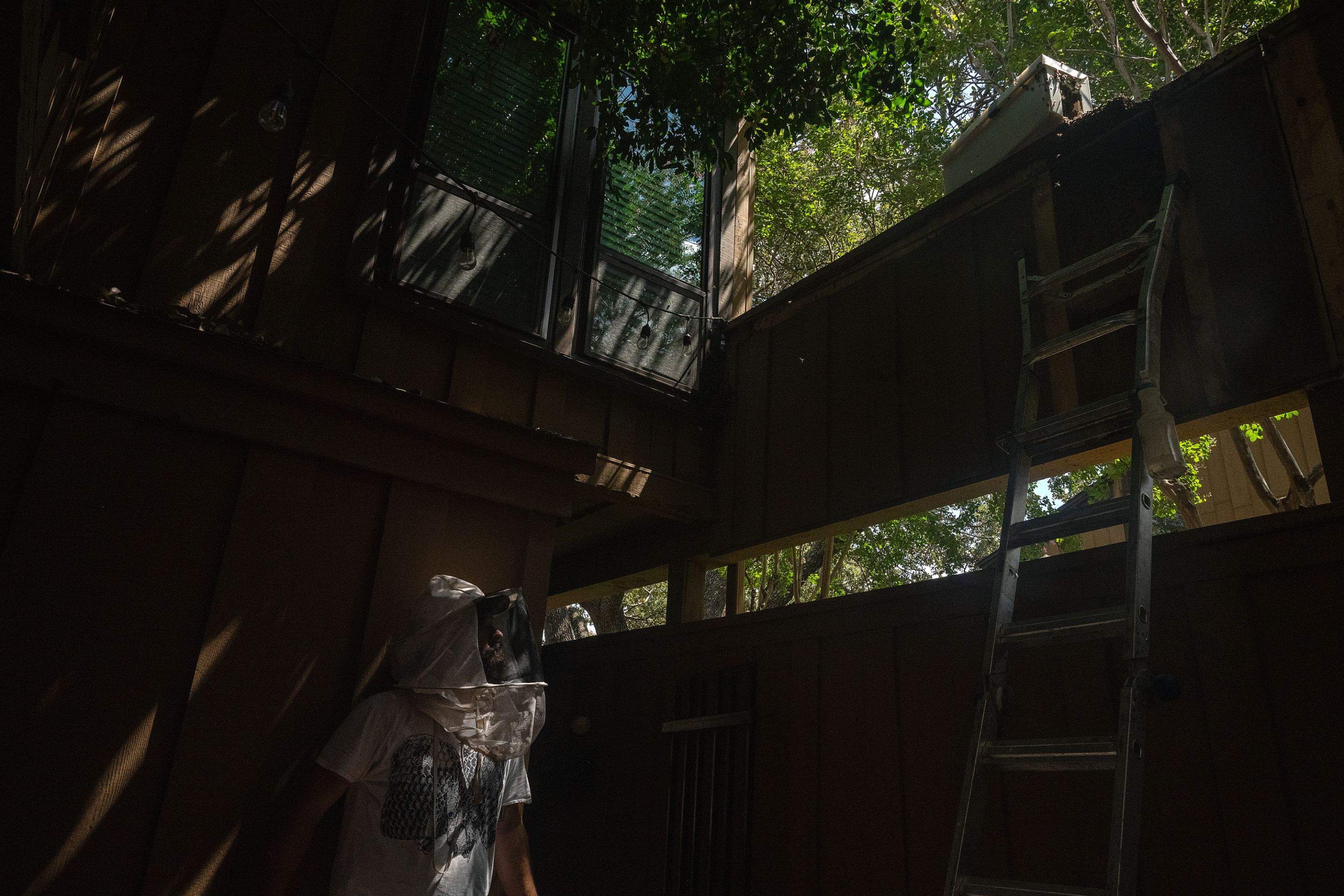 Condo Patio by Rockwall Honey Bee Company