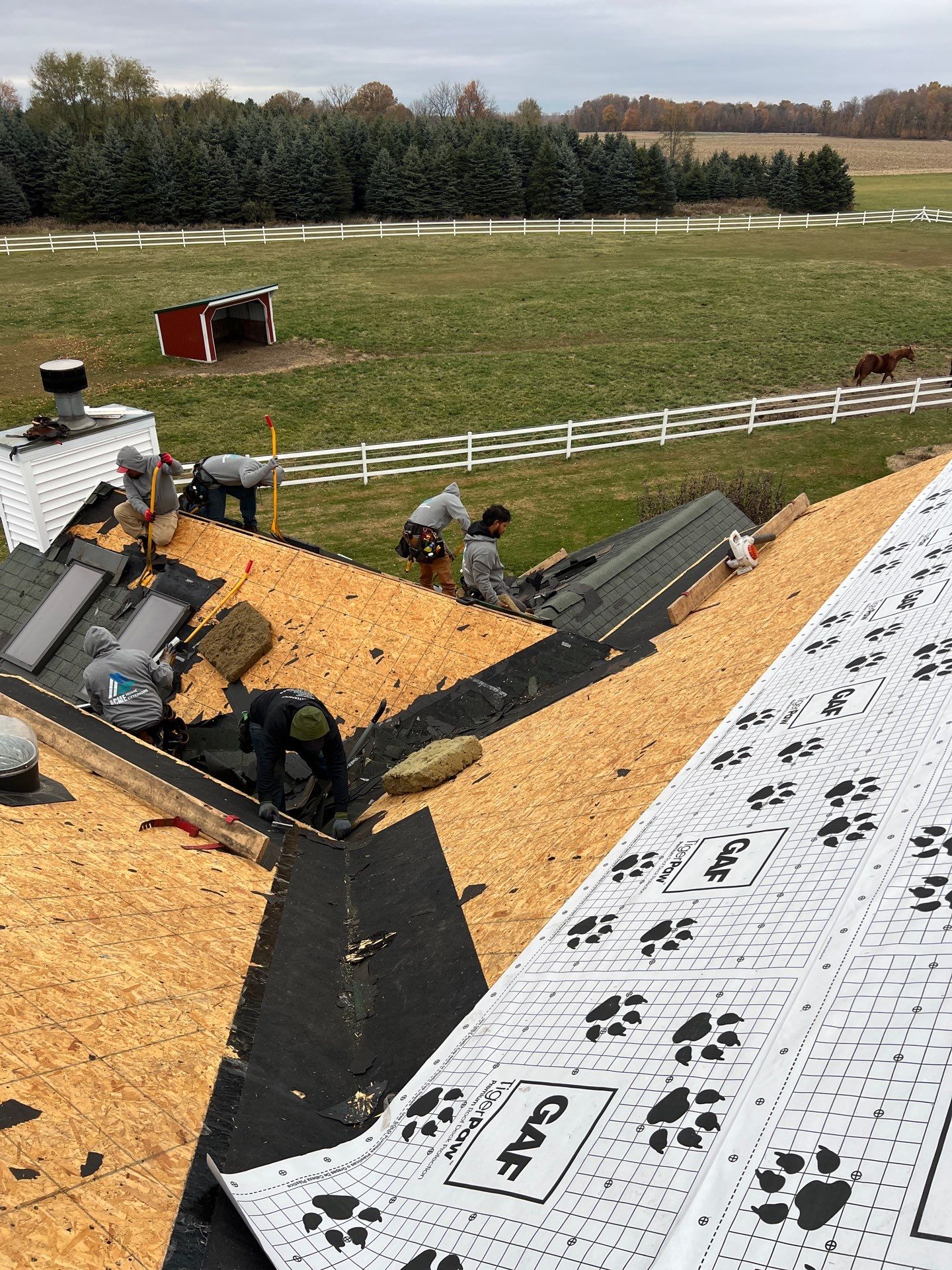 Residential Roofing Replacement with Multiple Skylights in Mason, Michigan by Acme Exteriors