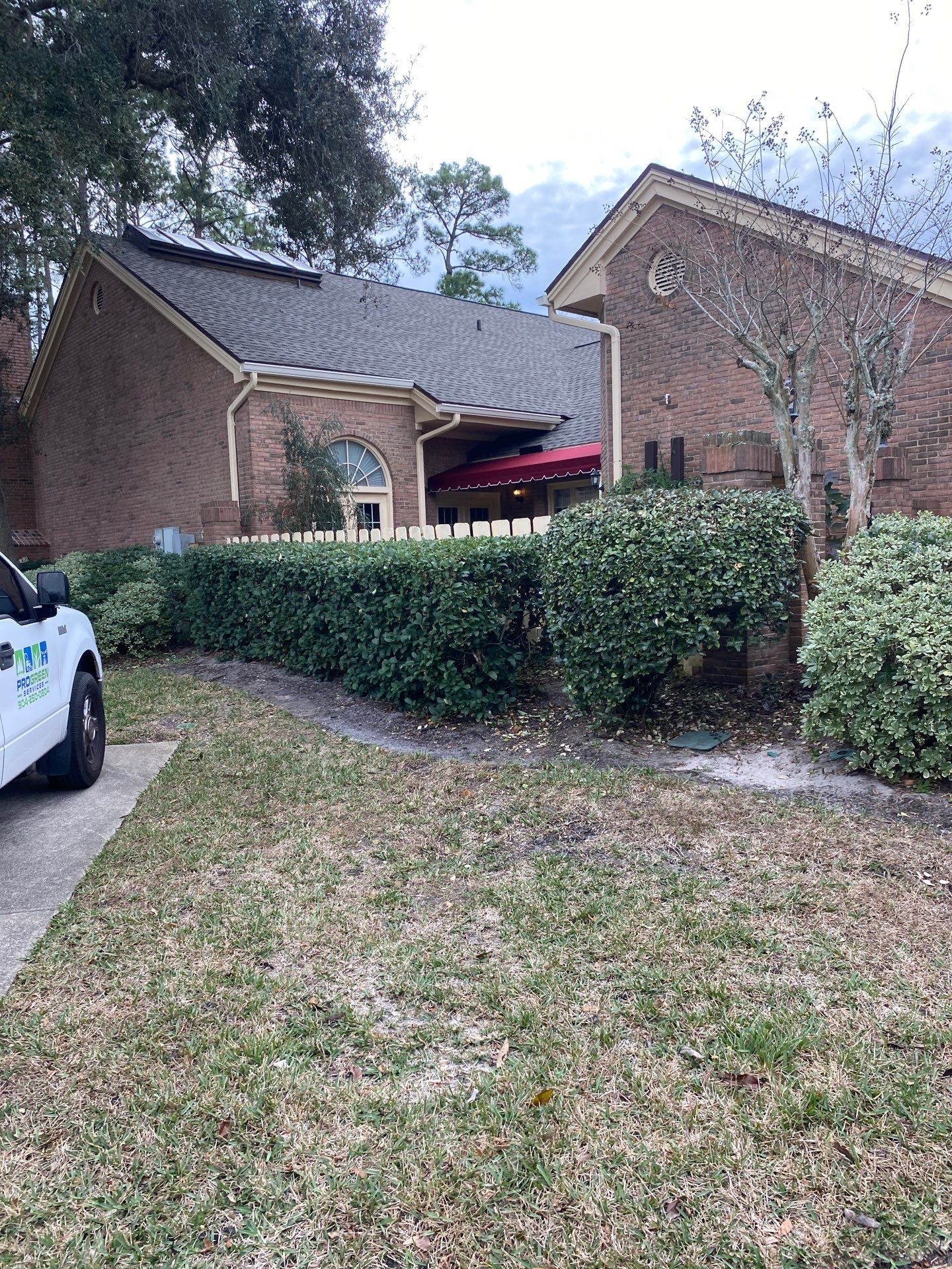 Deerwood Pointe | Tree Removal & Pine Straw Installation by ProGreen Services