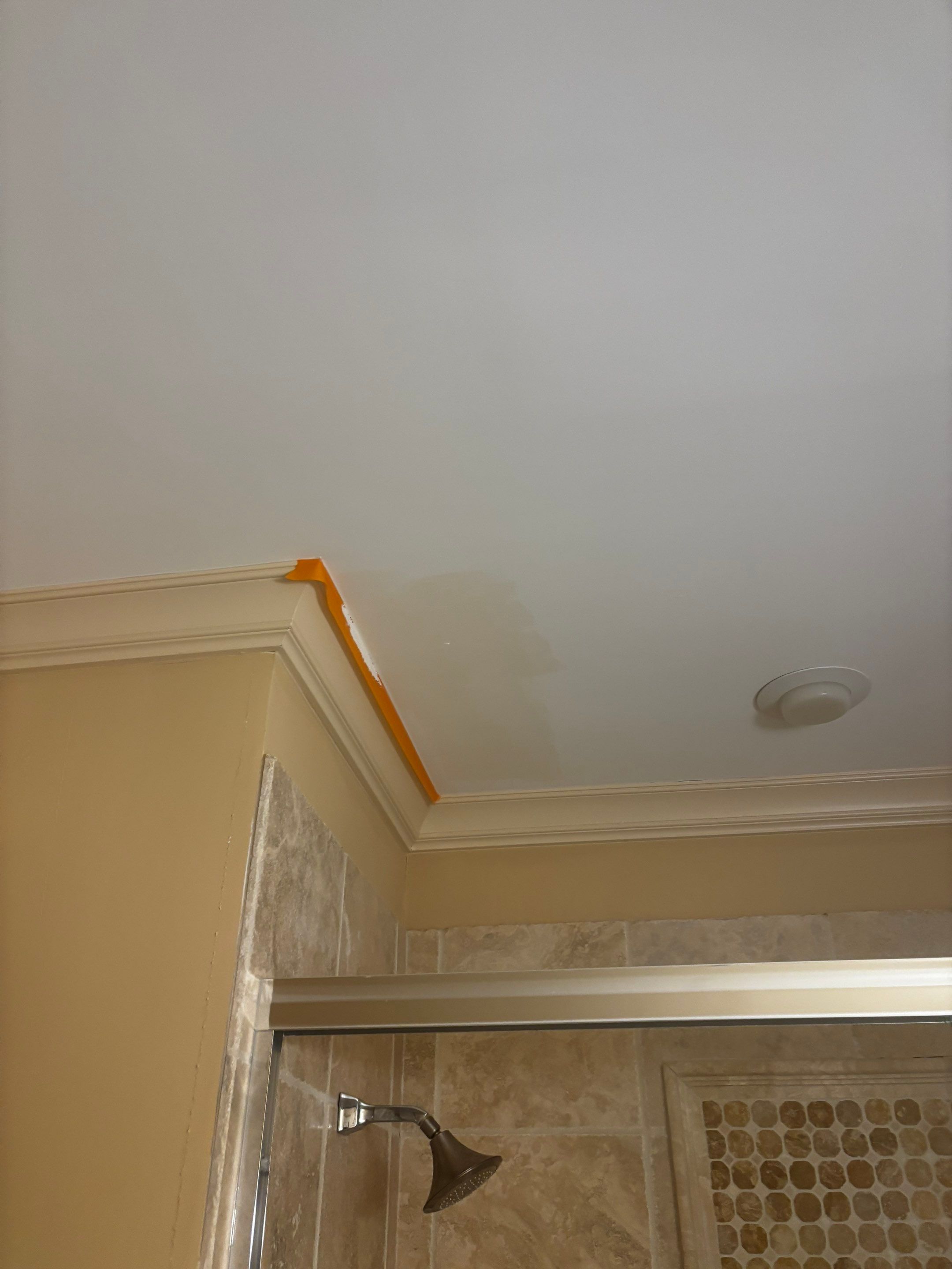 Interior Ceiling Painting & Drywall Repairs by PGP Surface Solutions, LLC
