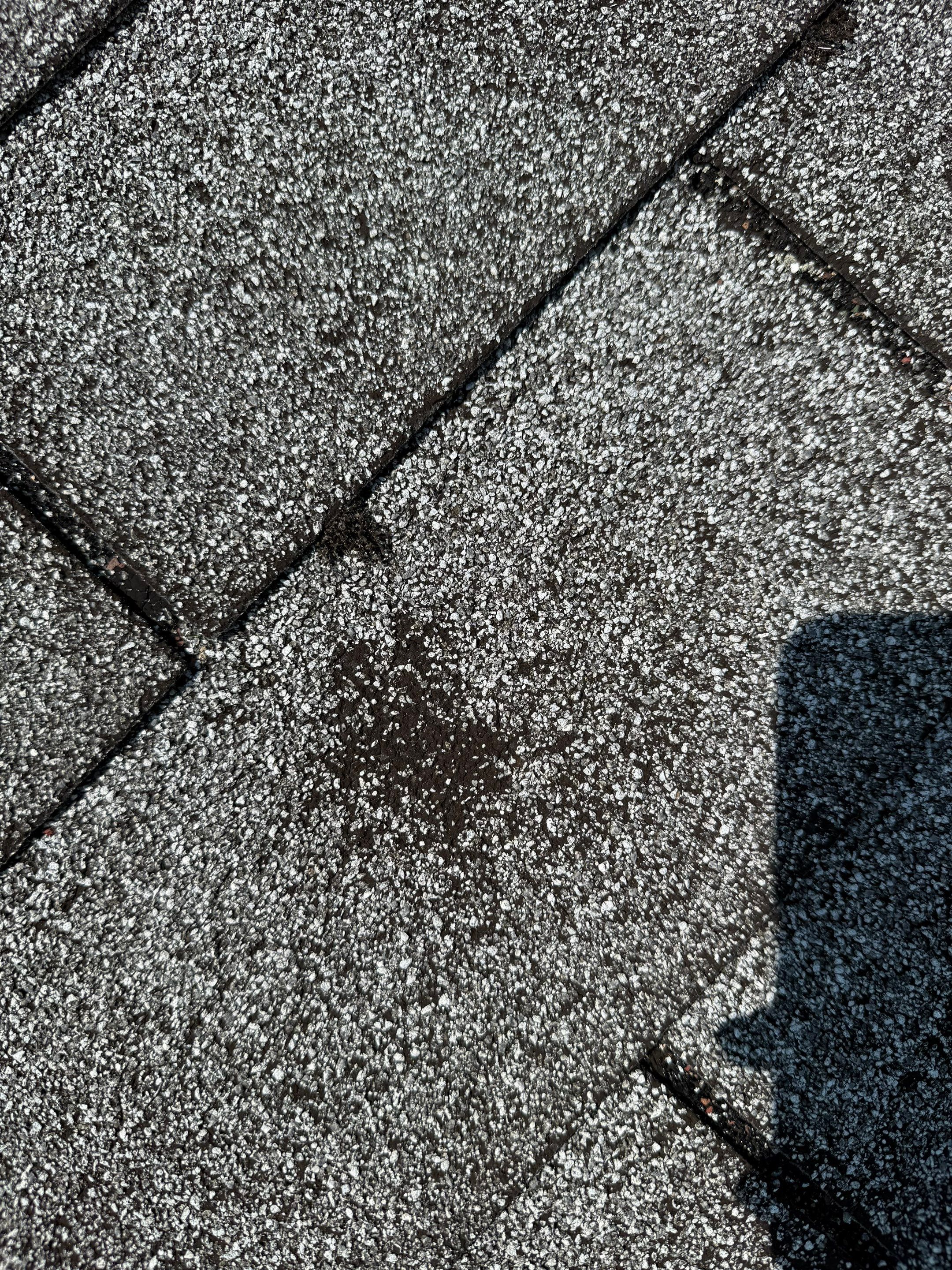 Onyx Black Roof Transformation in Maynard, MA by Mighty Dog Roofing of Greater Middlesex County