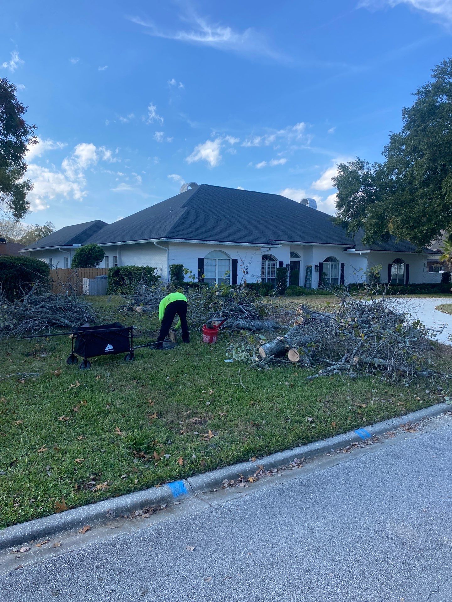 Deerwood Resident | Tree Removal & Shrub Shaping by ProGreen Services