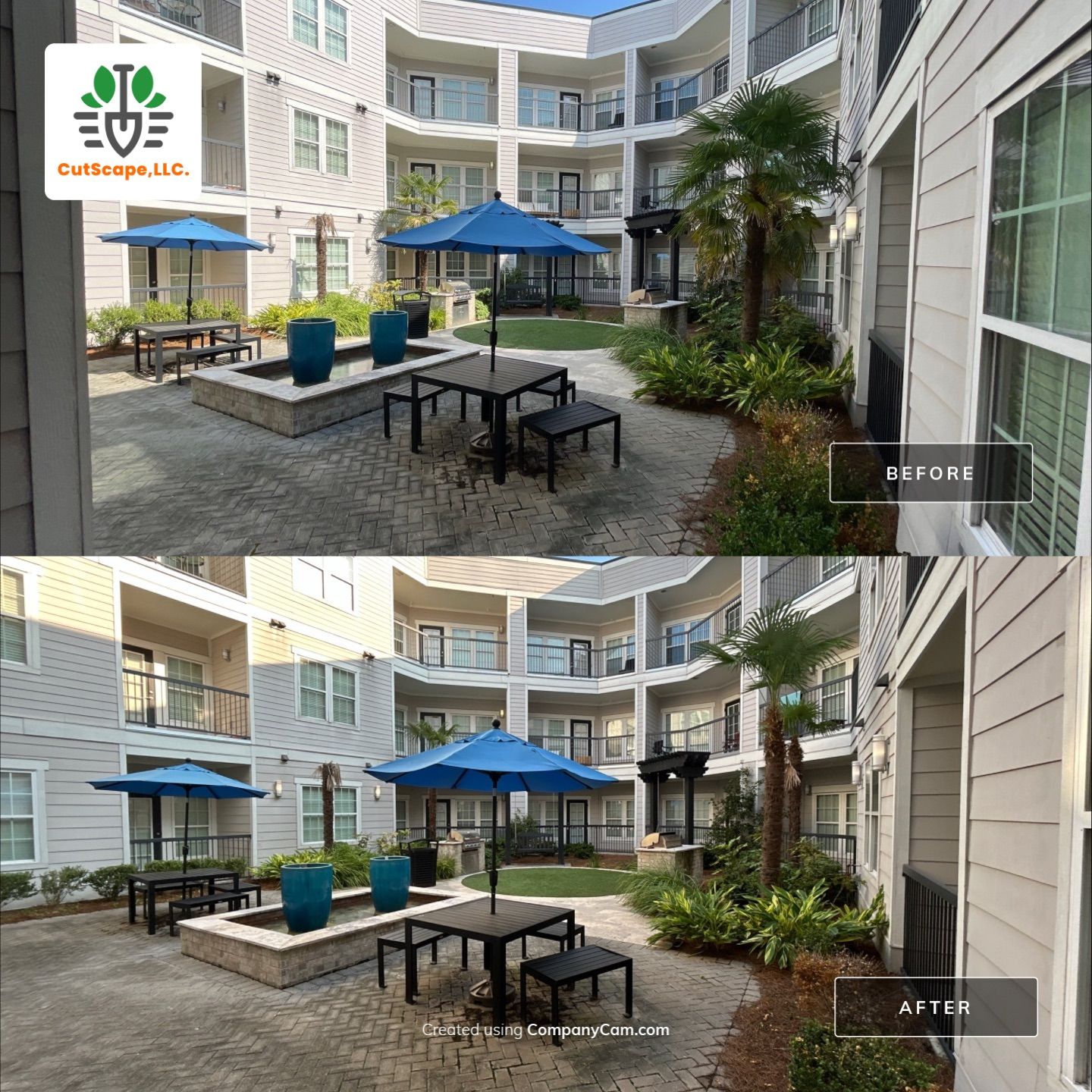 HEDGE TRIM / BED CLEAN using HEDGE TRIM LABOR by CutScape, LLC.