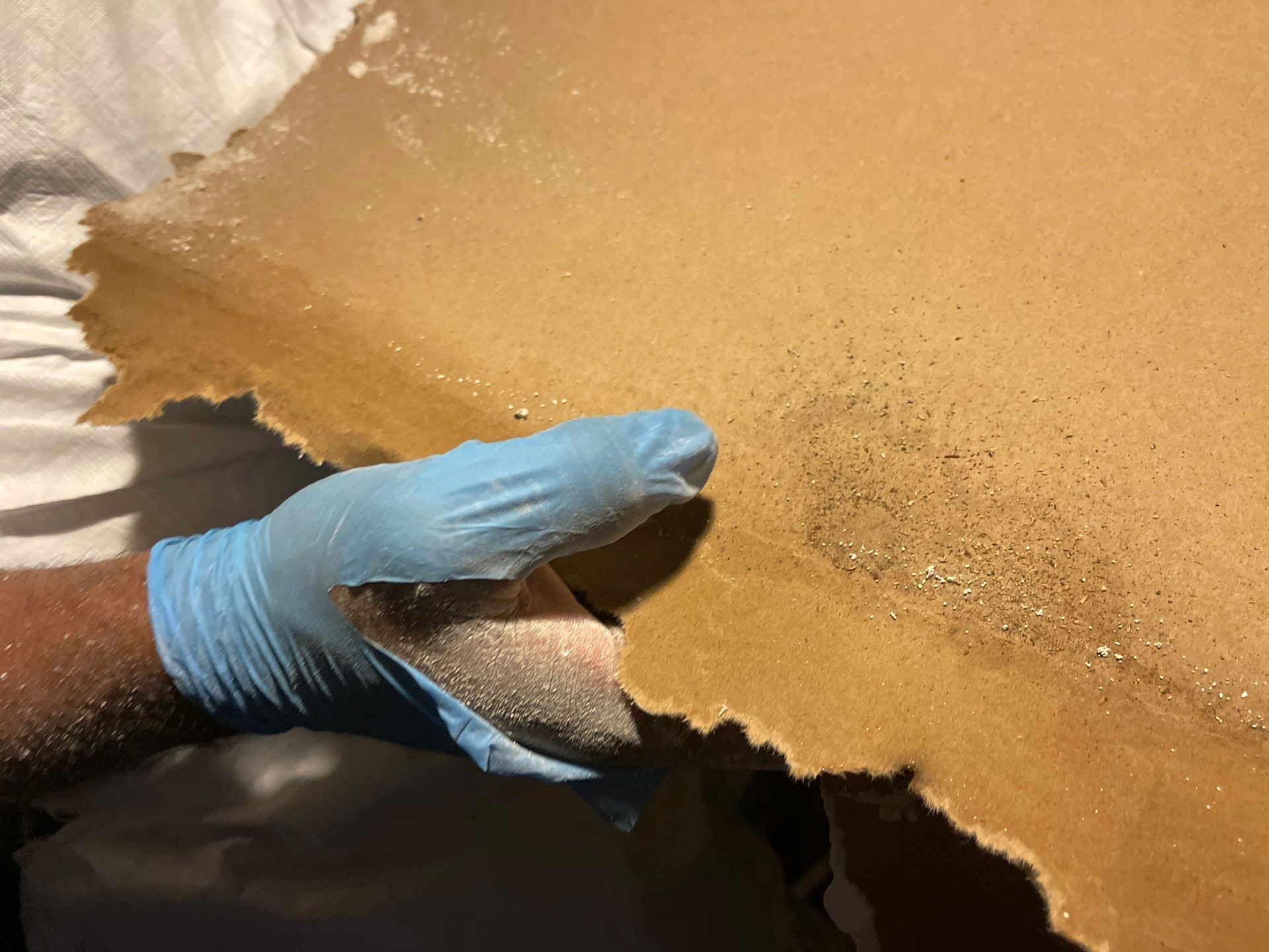 Project in Davenport by You Restorations LLC DBA YOU-Home