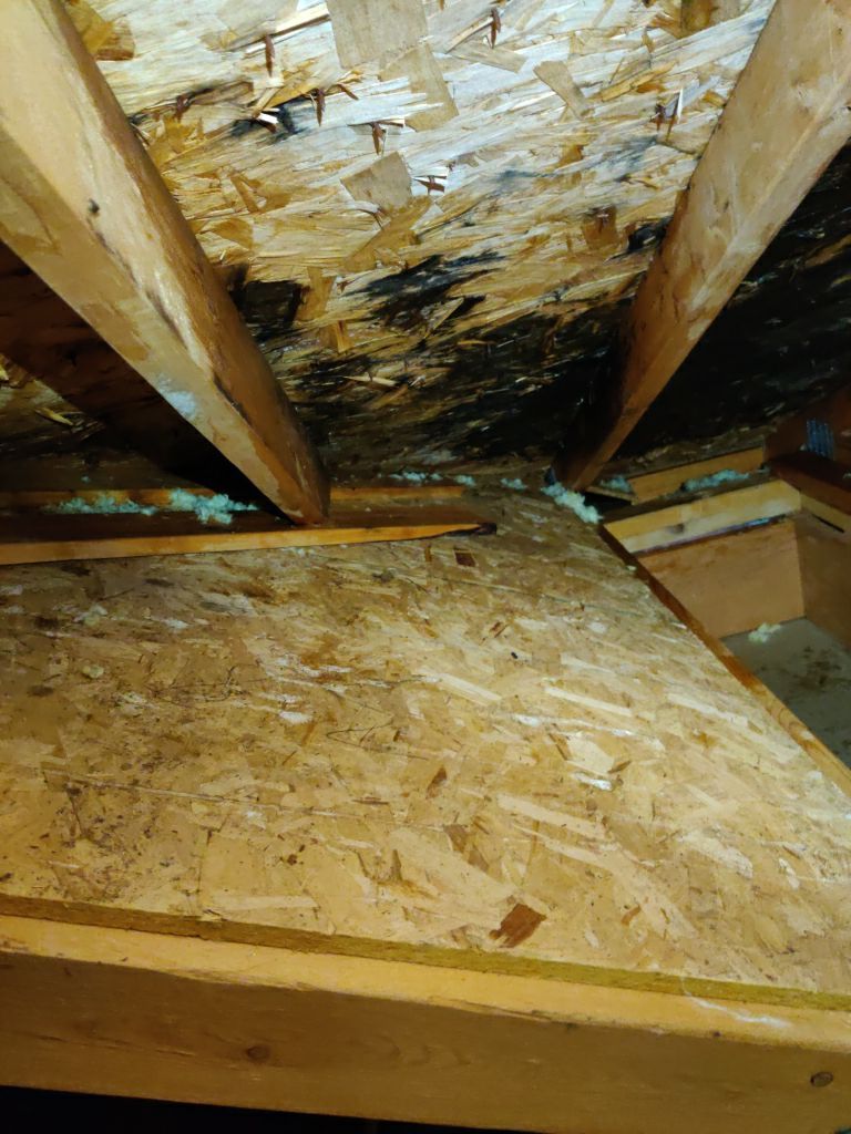 Mold Remediation Cleanup in Attic by Accountable Home Services