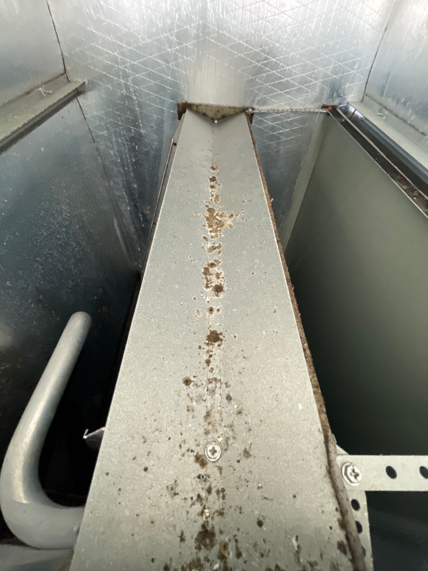 Air Duct Source Removal — Clermont by Hygienic Air, Inc