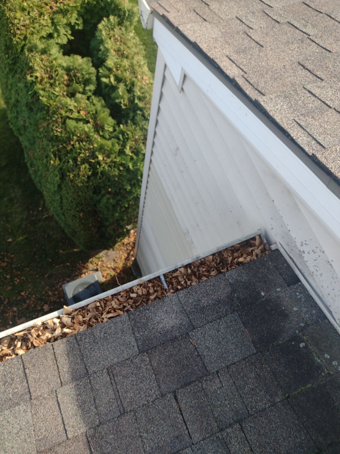 Commercial gutter cleaning Michigan before photo with filled gutters