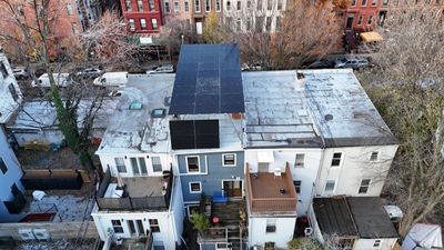 Project in brooklyn