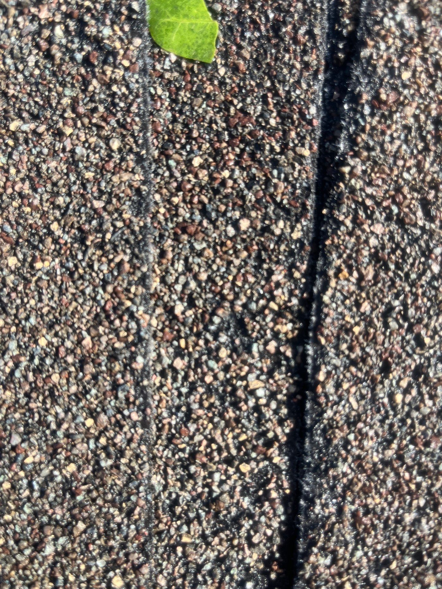 Commercial Roofing Installation using Malarkey Vista Impact Resistant by Roof Concepts Construction