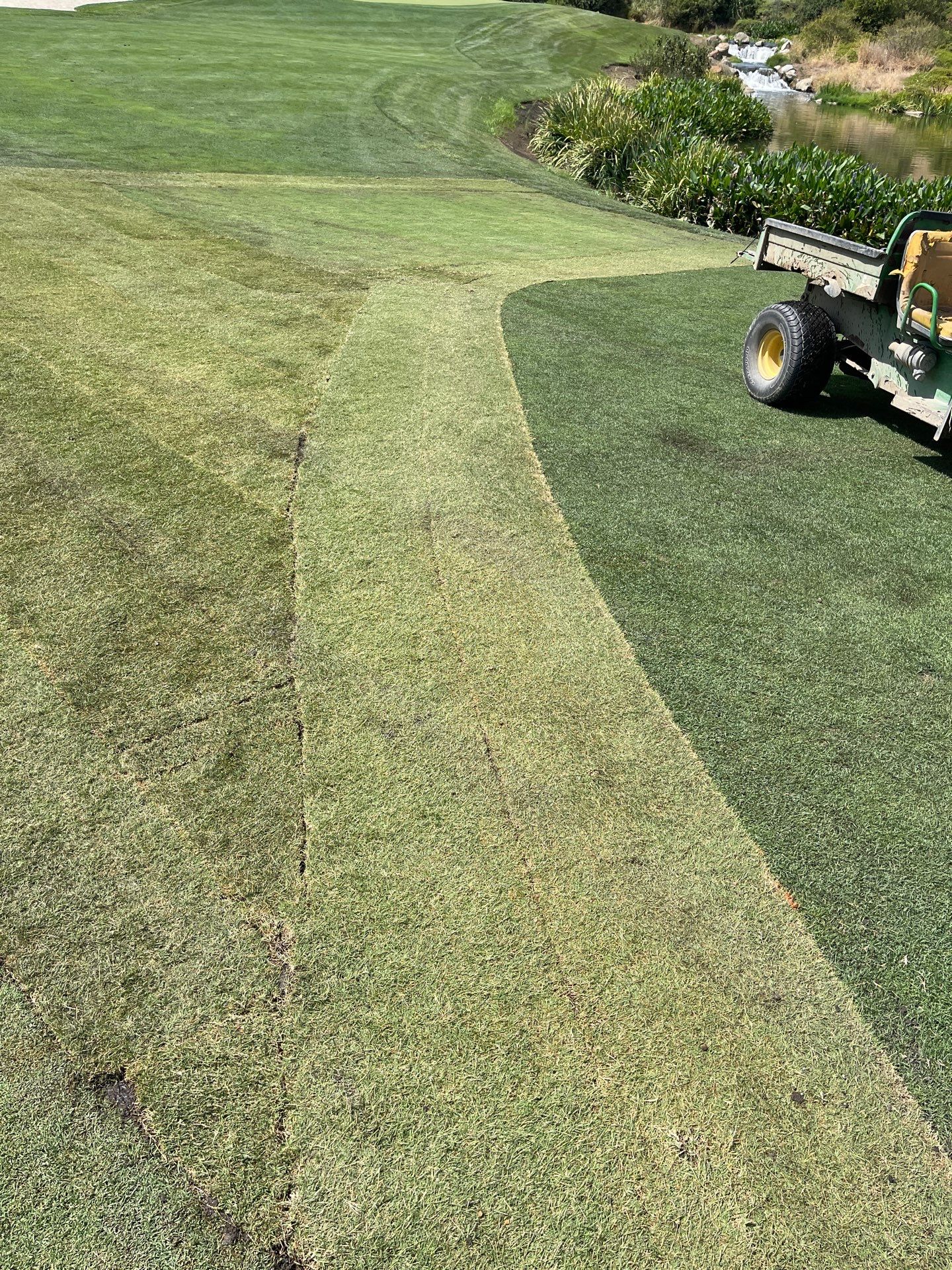 Project in Brooks by A - G Sod Farms