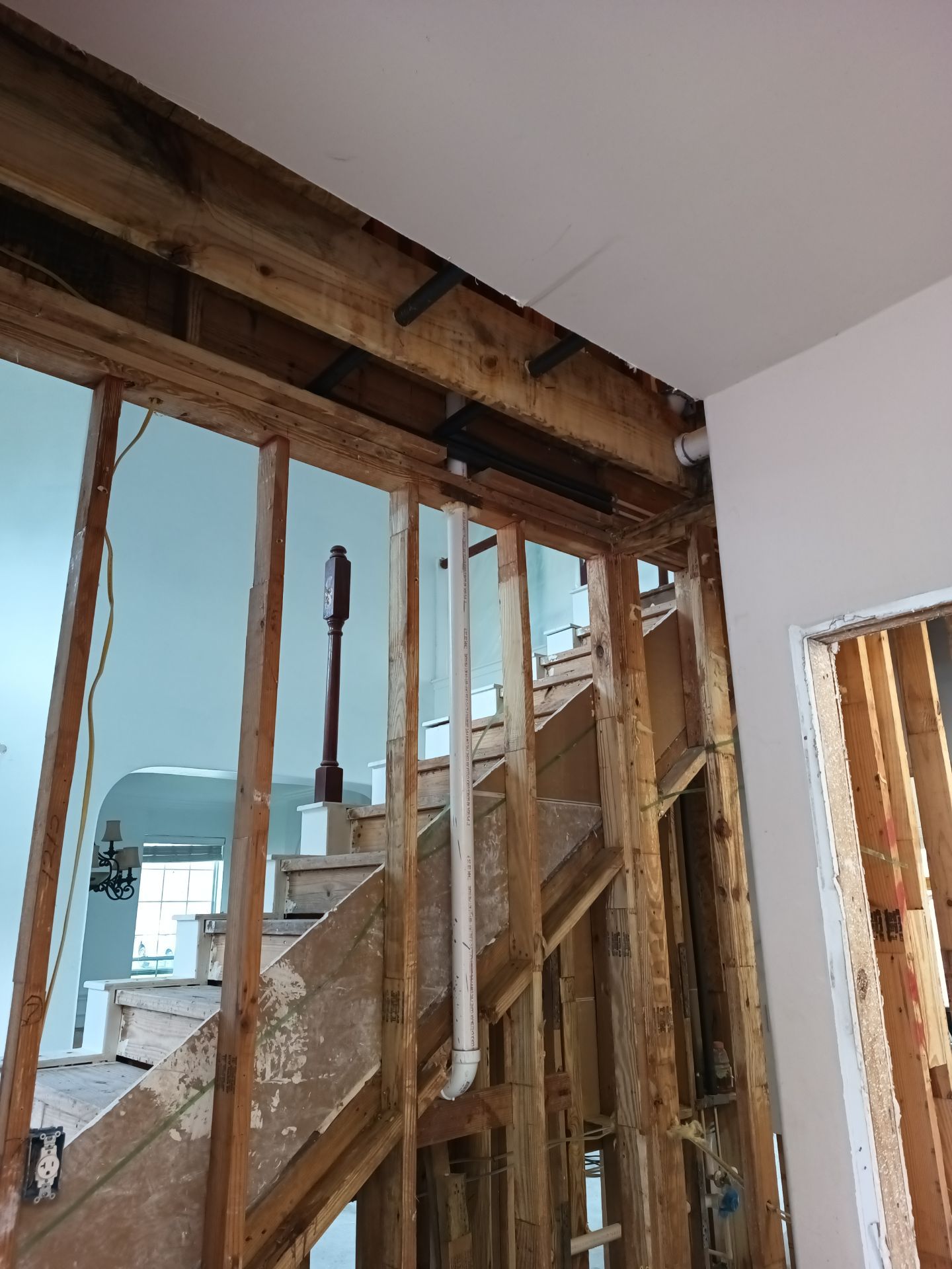 Mold Remediation Job in Cypress by Team Home Solutions