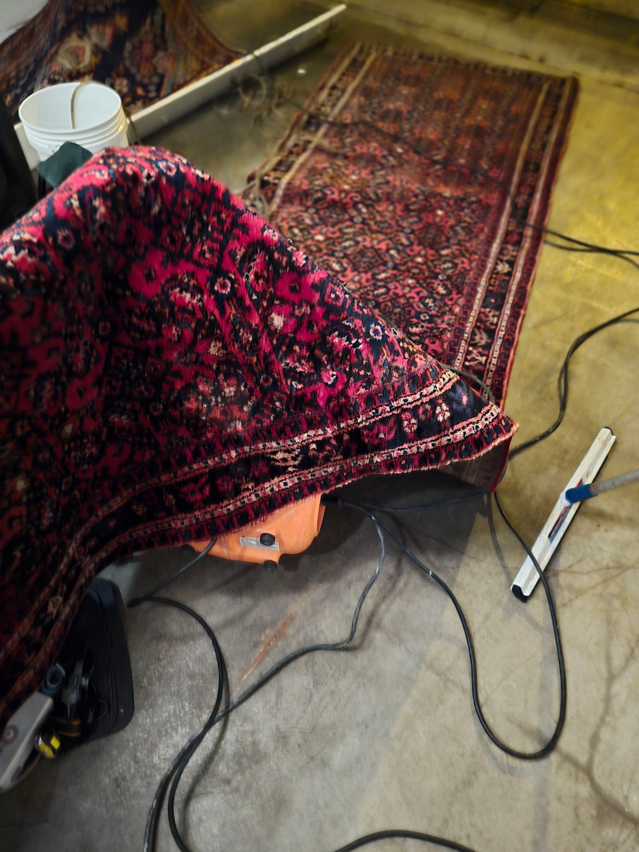 Anna and Allan Branch  by Service Restoration