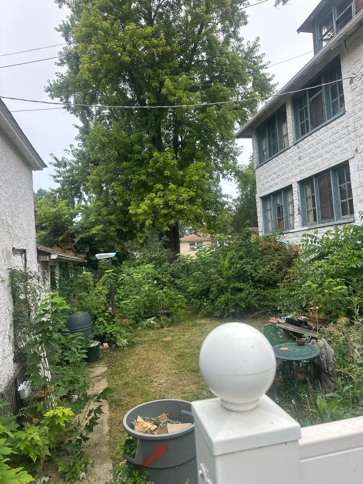 Michal Ann L. - Des Plaines, IL by A&N