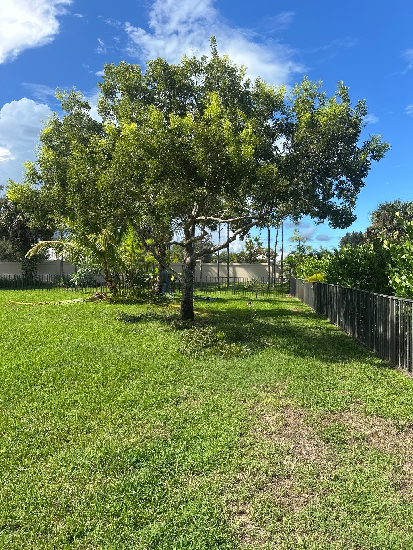 From Overgrown to Picture-Perfect - Stuart Refresh by Alpha Zeta Enterprises Inc
