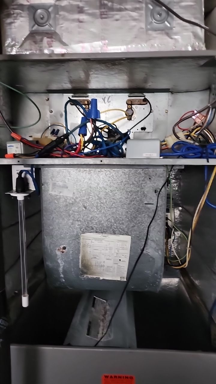 Mold testing by Building performance Solutions LLC