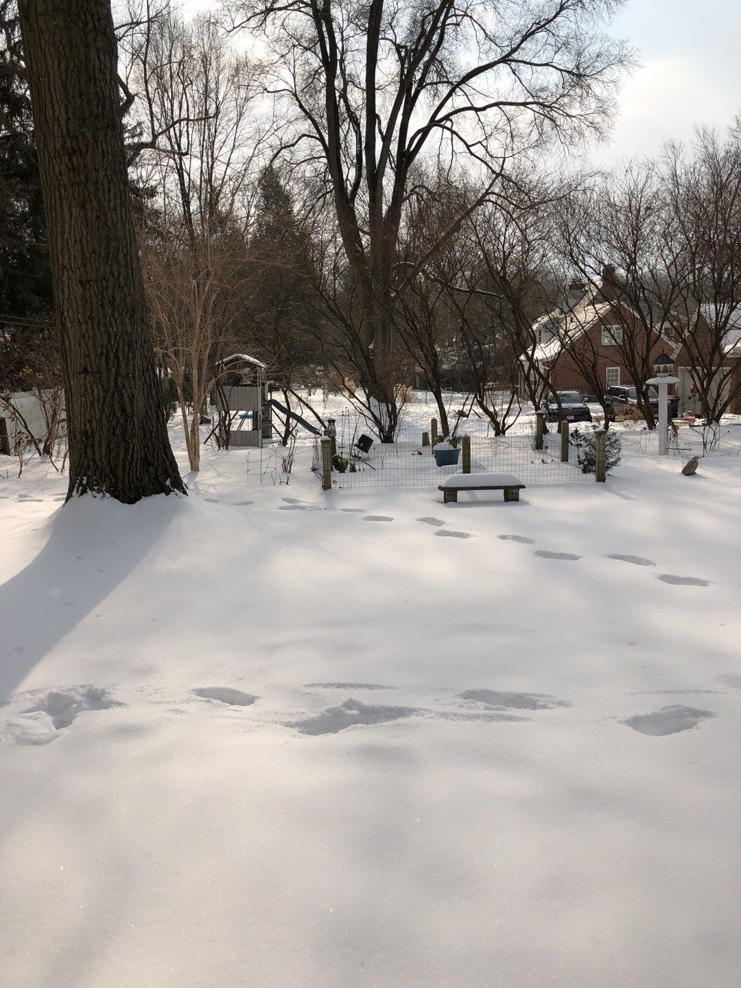 Firewood Delivery  using Seasoned Firewood by Mike Jones & Sons Tree Service LLC 