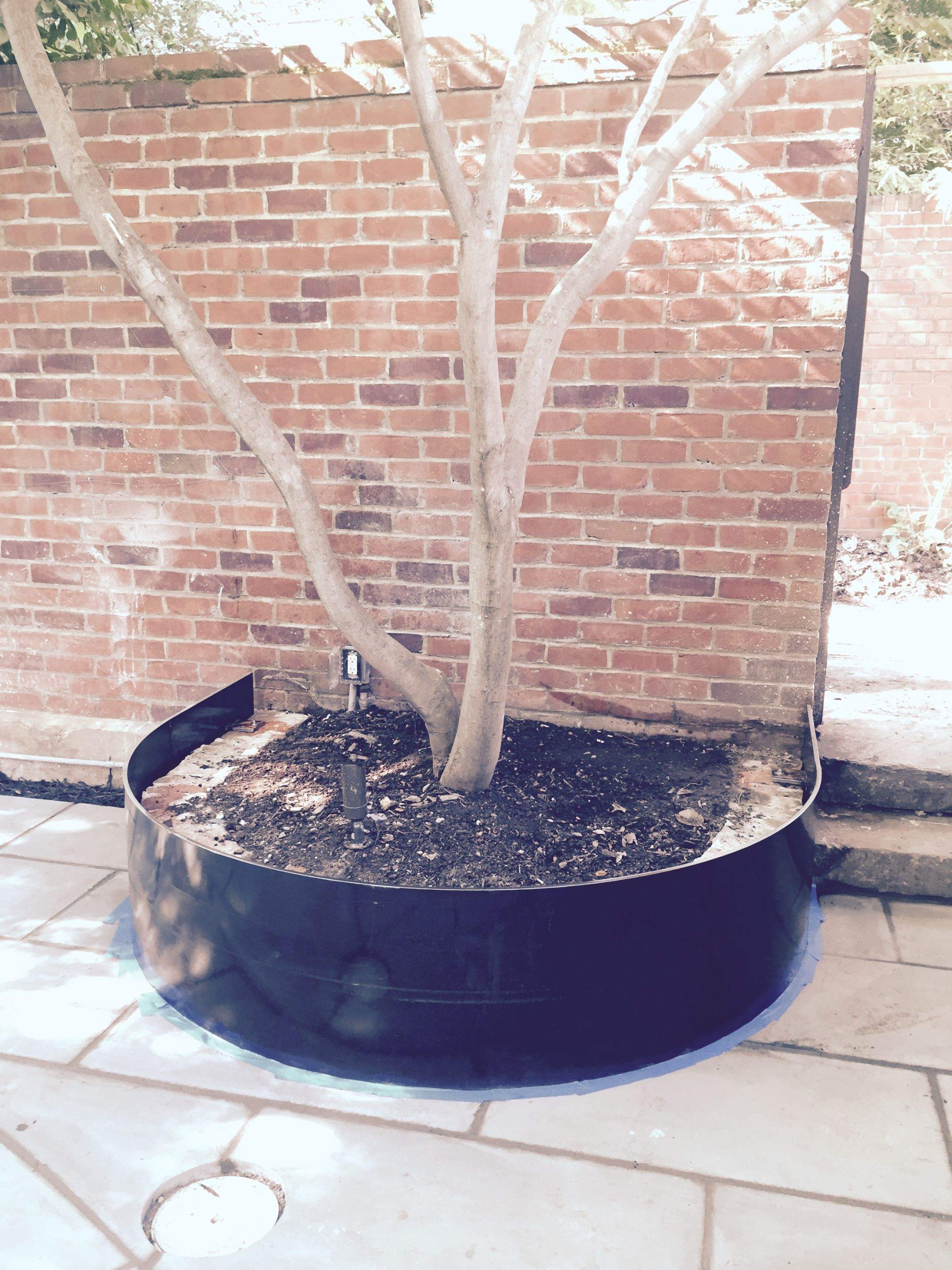 Custom Steel Tree Boxes & Planters – Urban Landscaping – Washington, DC by Capitol Iron Works
