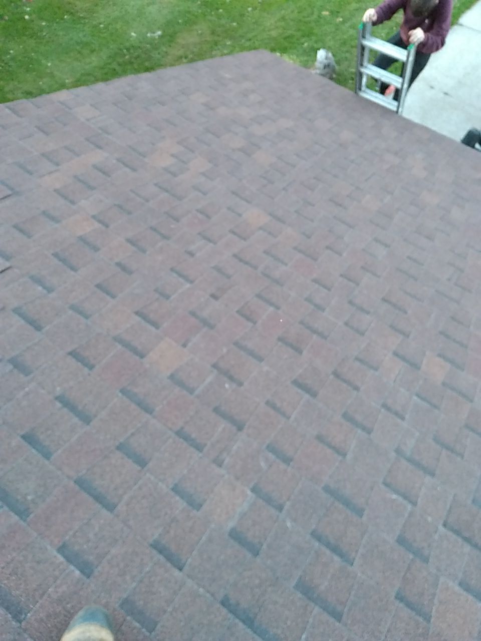 Tracy Williams by Silver Leaf Contracting 