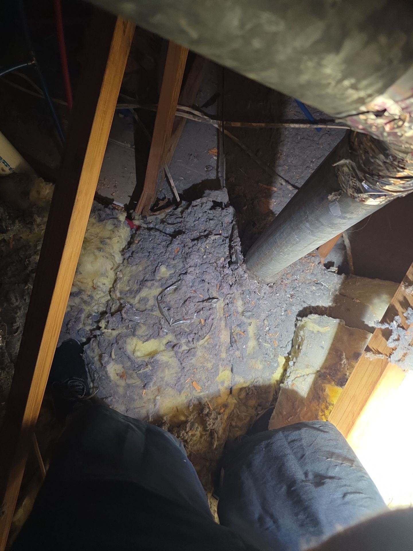 Dryer Vent Cleaning and Repair in Clermont by Hygienic Air, Inc