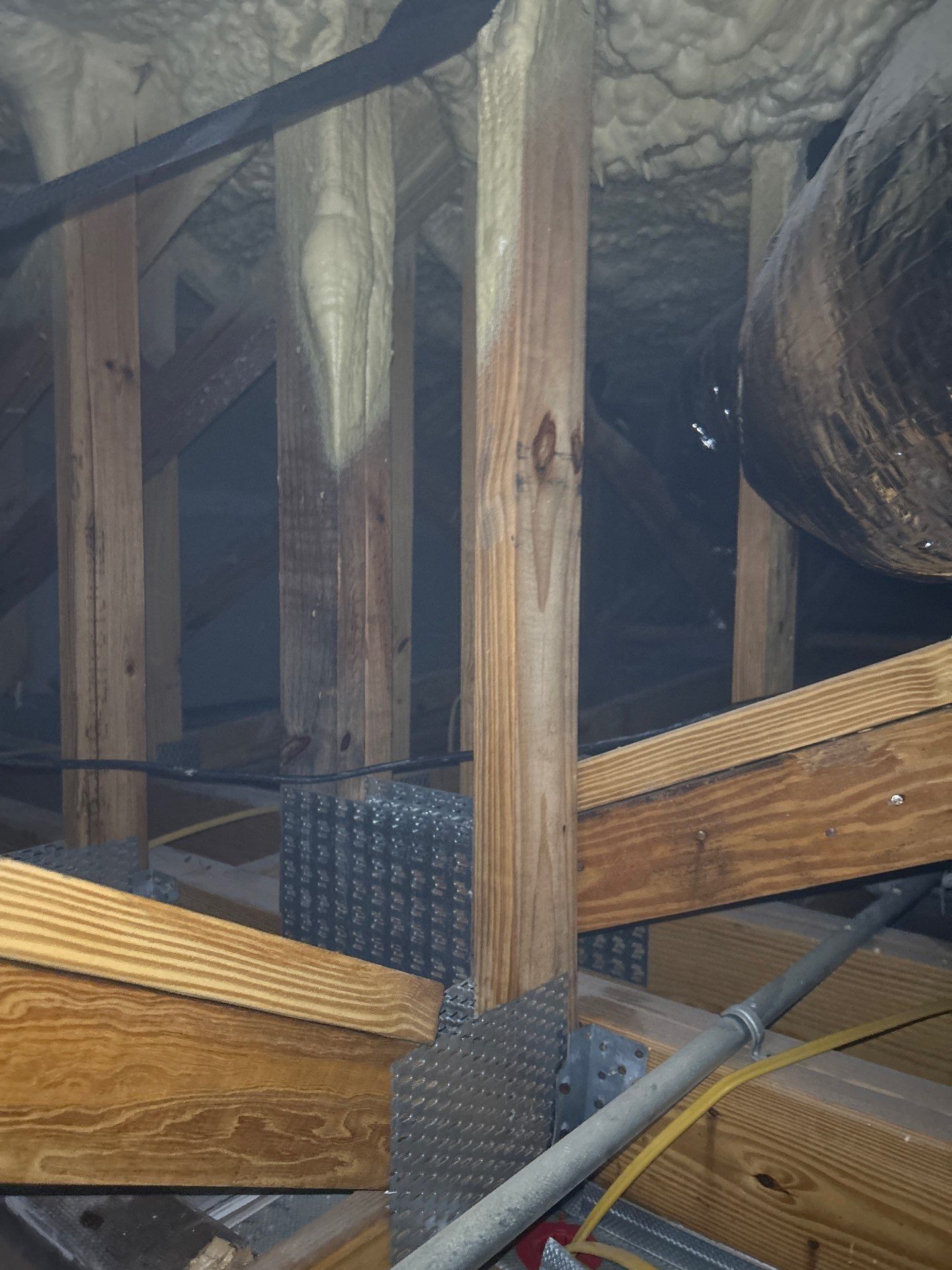 Mold Damage Restoration by Ampm Restoration Services