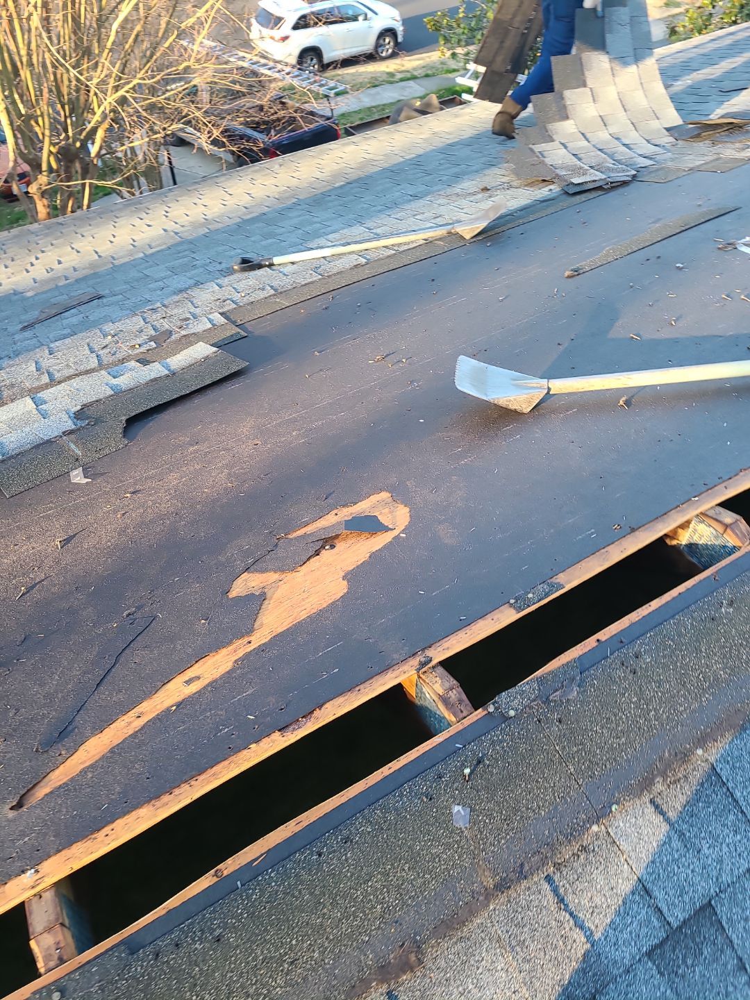 Springfield CertainTeed Landmark Pro Roof in Max Def Pewter by RM Banning, Inc.