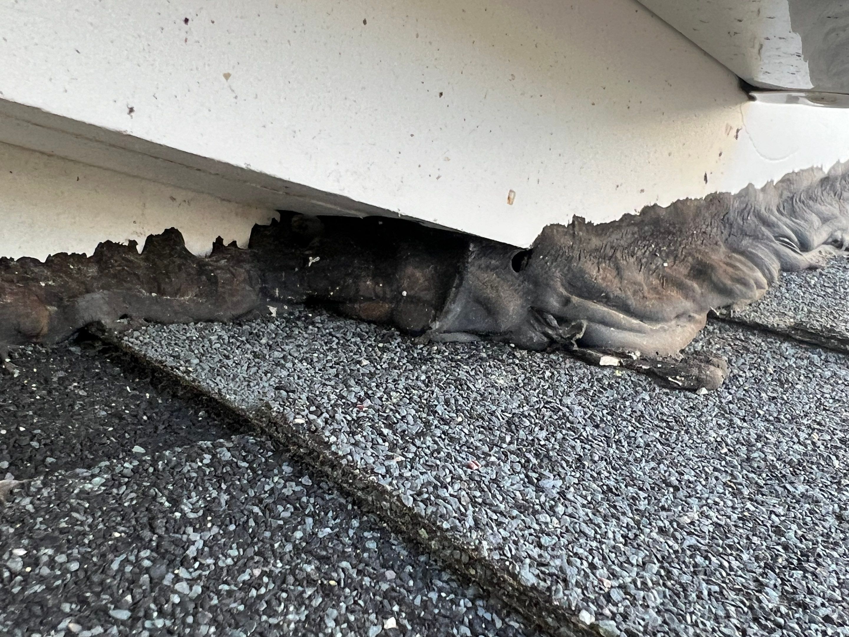 Roofing | Haverhill by Mighty Dog Roofing of Greater Middlesex County