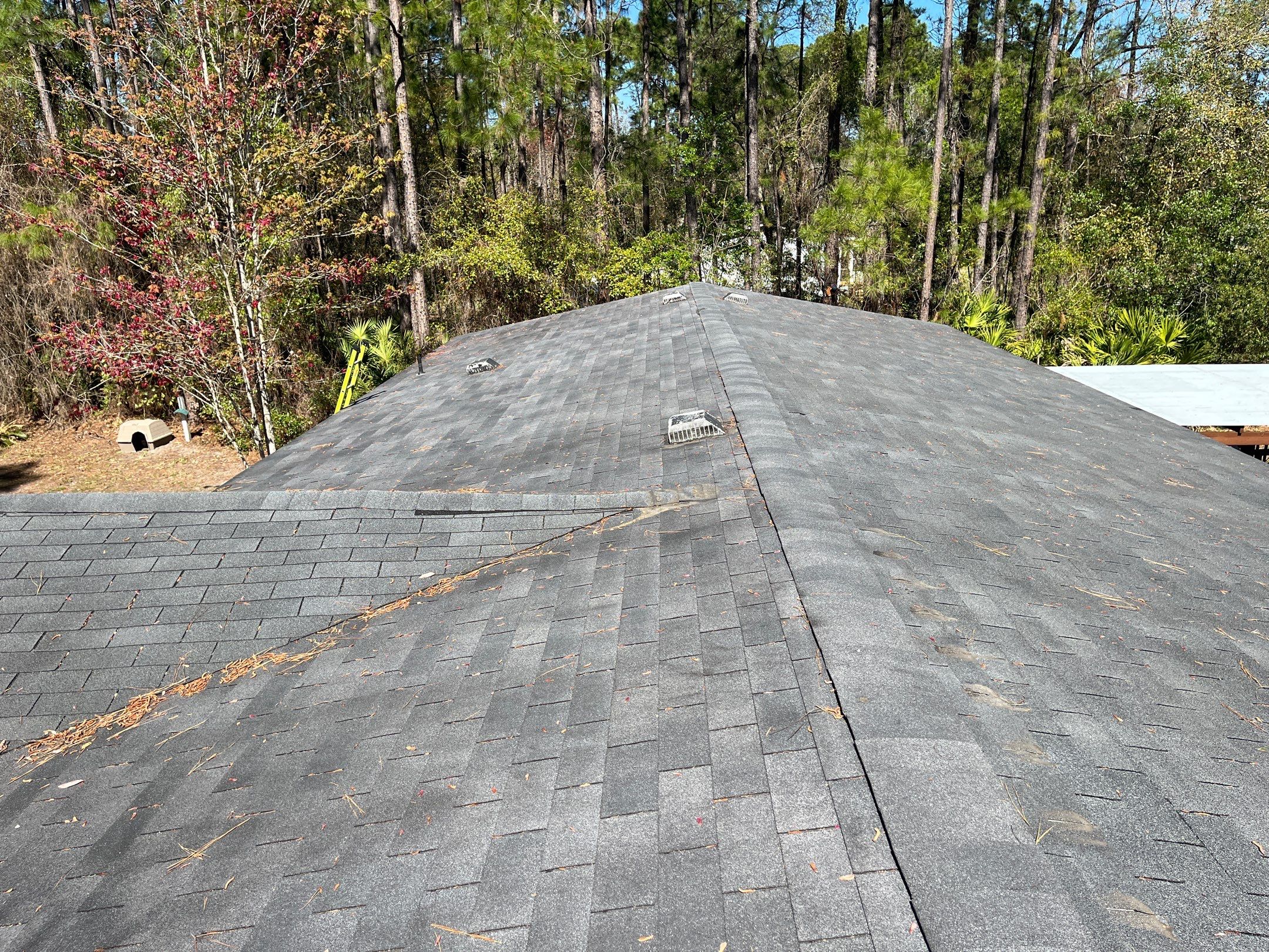 Shingle -> Shingle by Prime Roofing