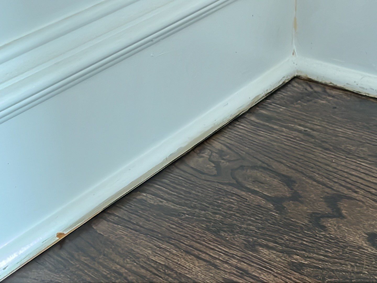 Water Damage by G2