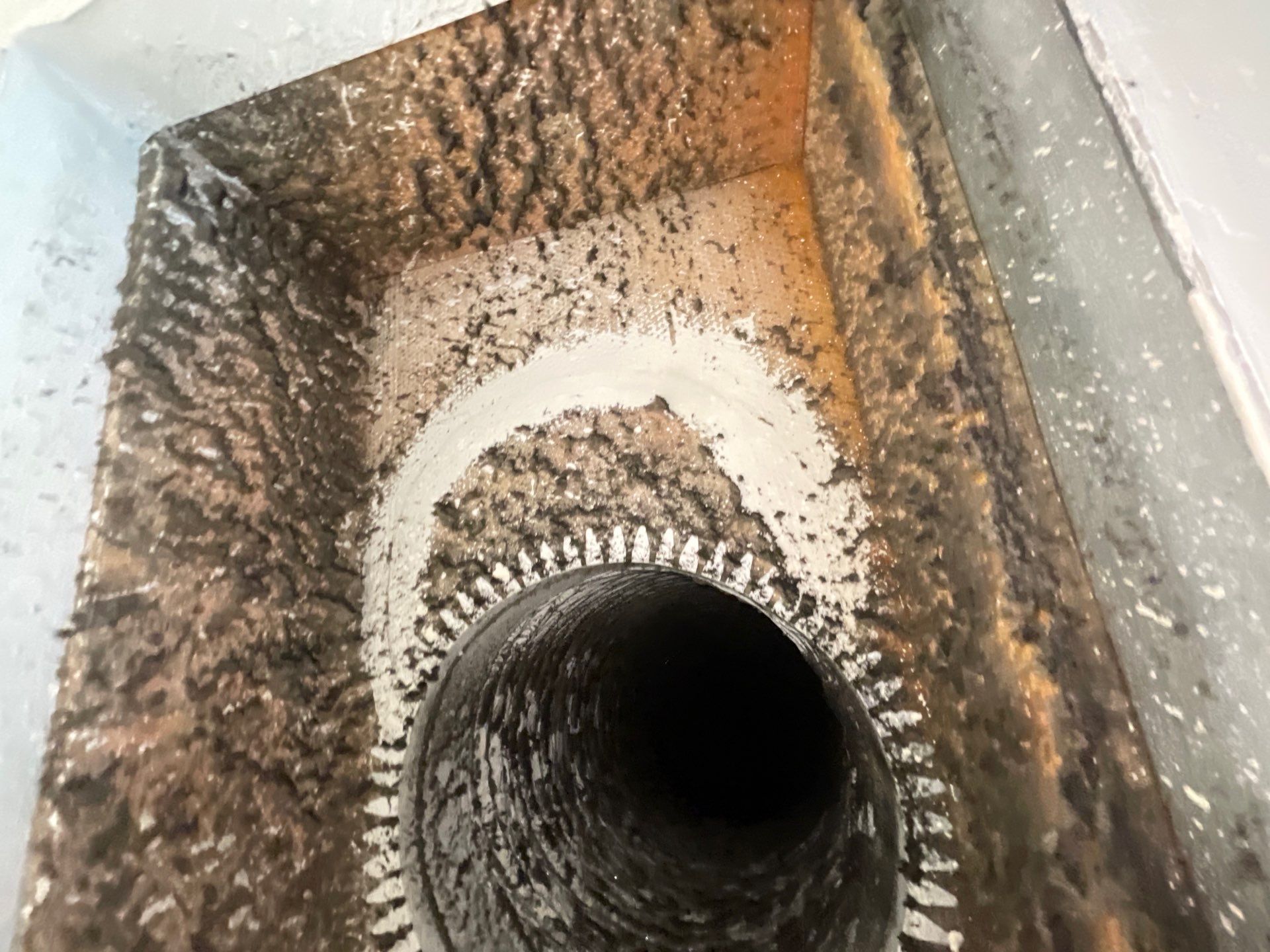 Air Duct Cleaning in Bartow by Hygienic Air, Inc