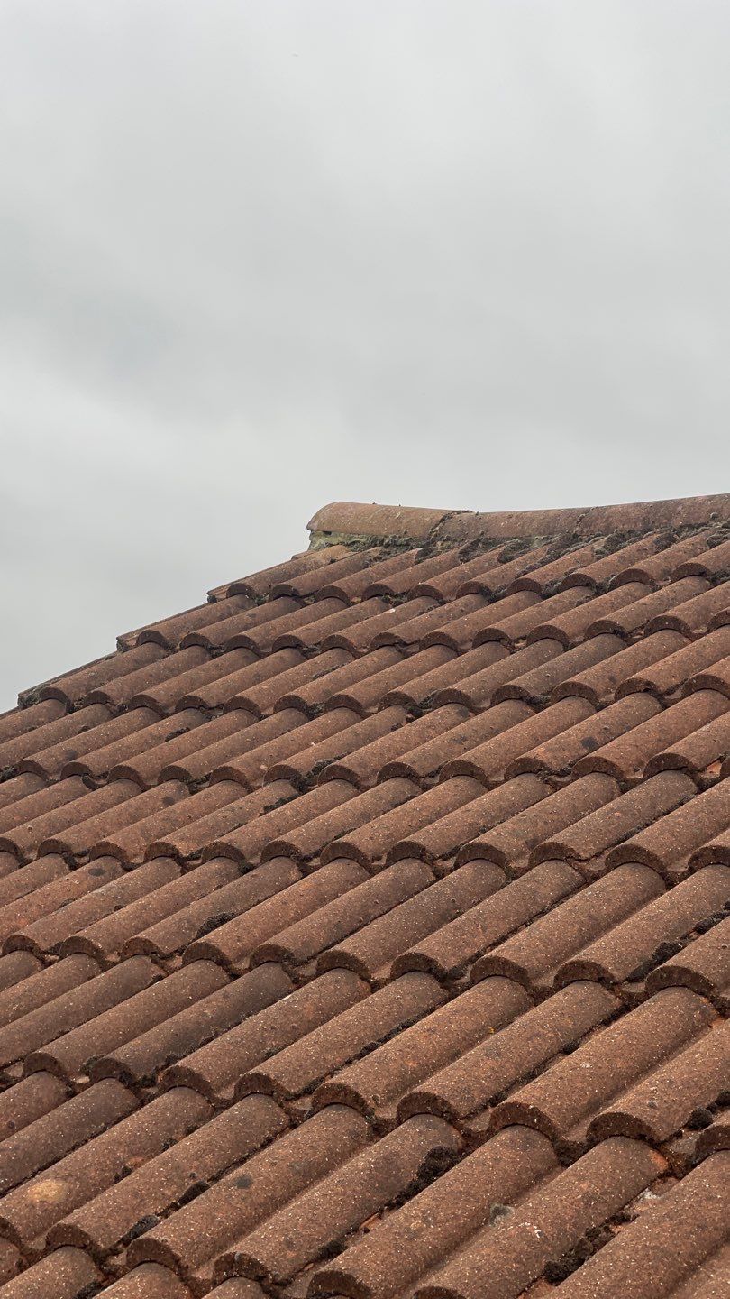 Exterior Clean - Roof - Patio - Driveway using Honda 15lpm Low Pressure Washing Machine by Ges Exterior Cleaning ltd