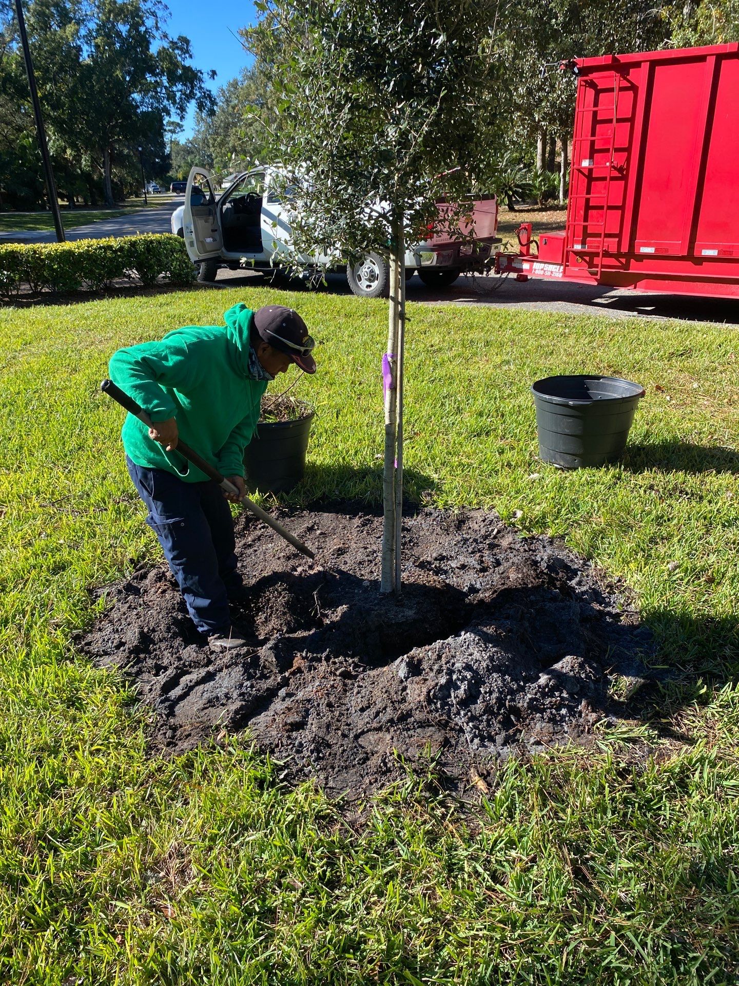 Deerwood Community | Oak Tree Replacement Project by ProGreen Services