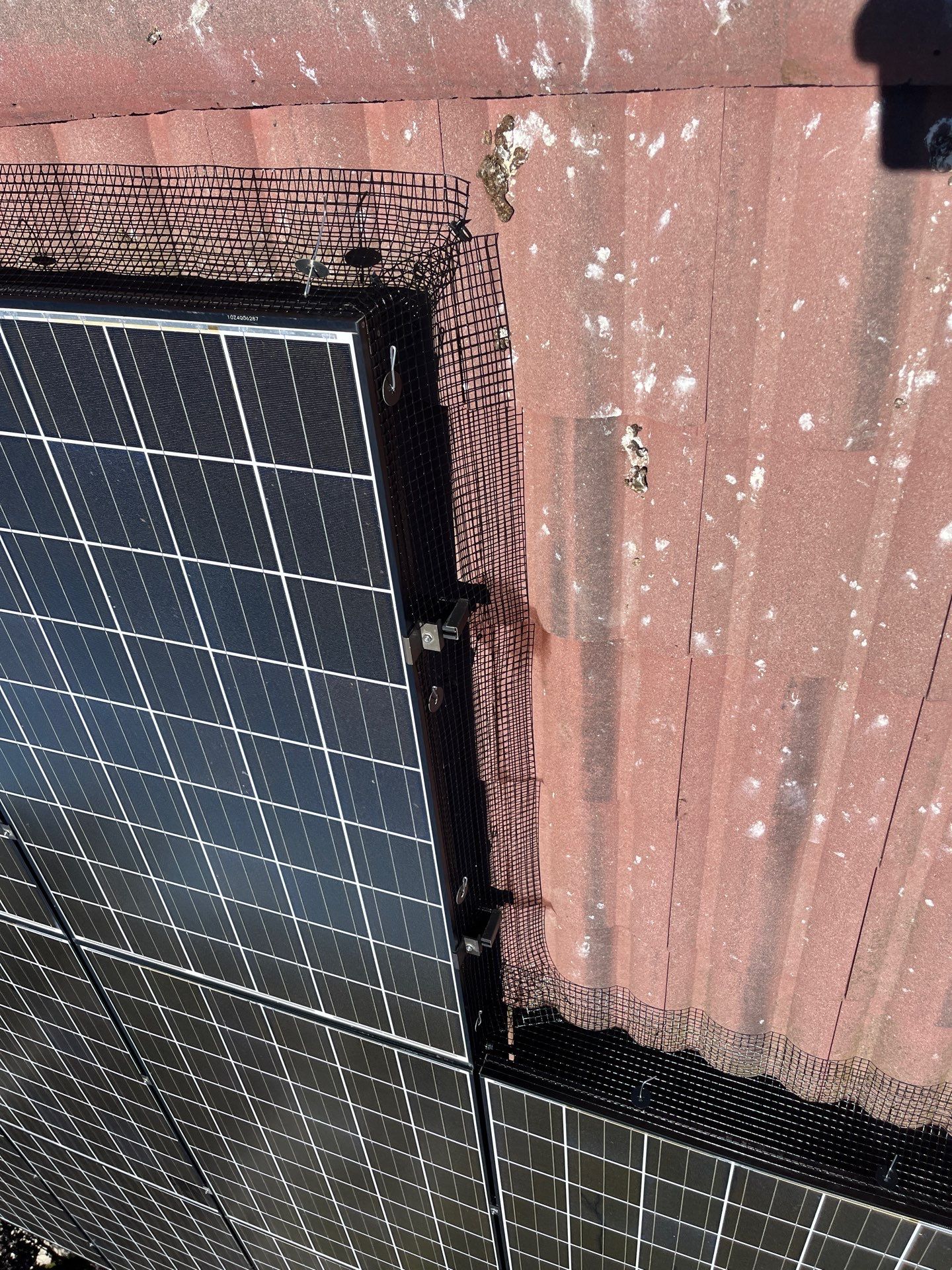 Project in Hollister, CA by All One Solar Shine