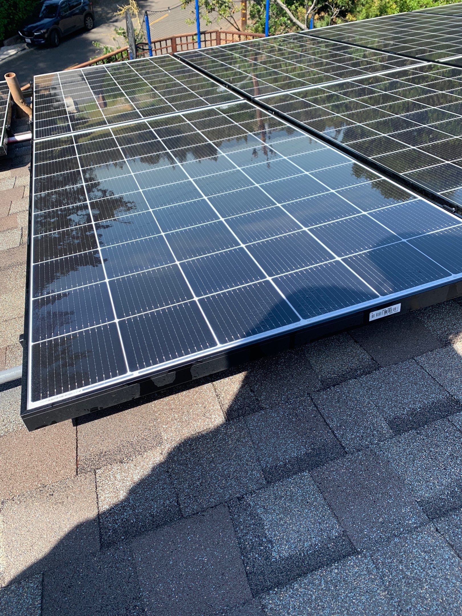 Bernadette Ryan-Leduc by SpotFree Window Cleaning