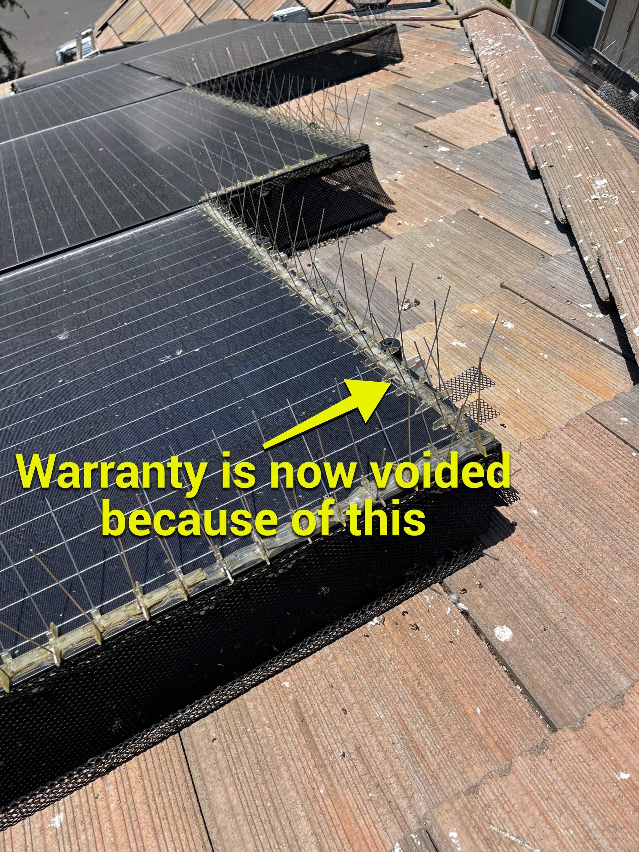 Failed Bird Proofing Installations by Palm Coast Solar Cleaning