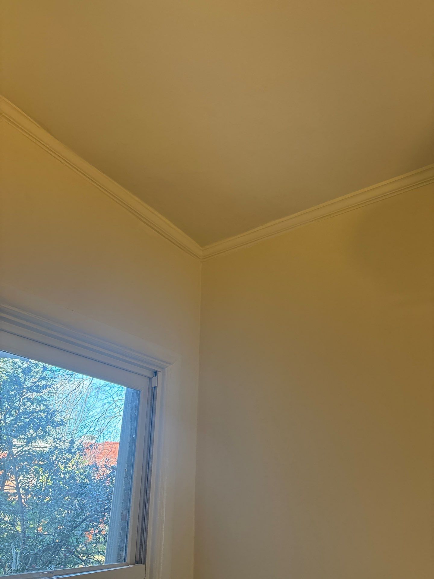 Interior Trim Services in Washington, DC by My Painter 