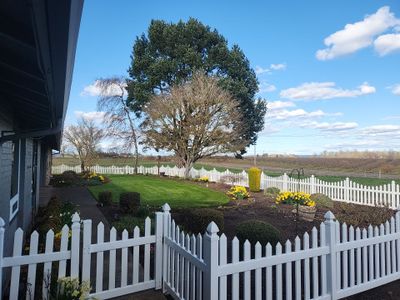 Vinyl Fence Wash using Soft wash solution