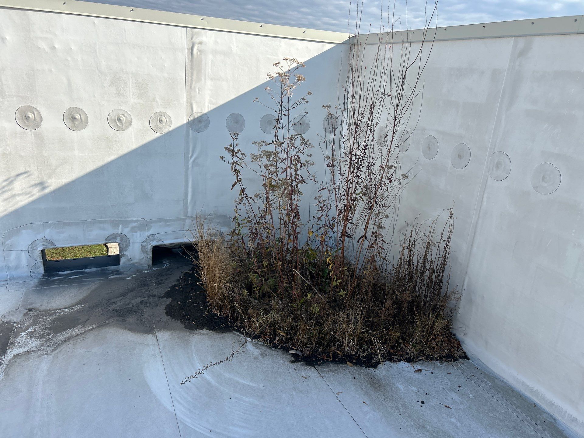 DDP Roofing Services, Inc. featured photo.