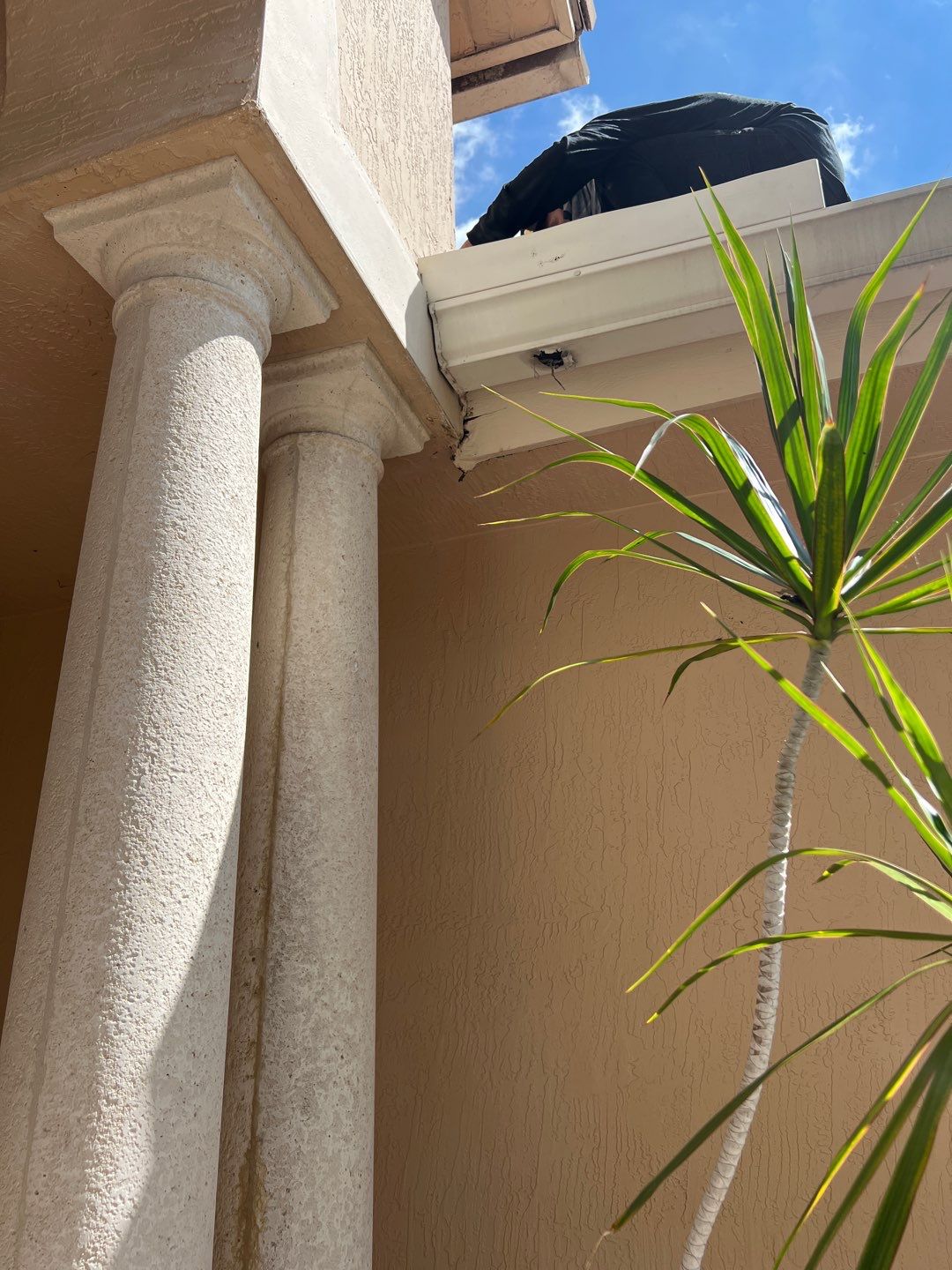 Concrete Tile Roof Leak Repair and Wood Decking Replacement in Parkland by Aastro Roofing