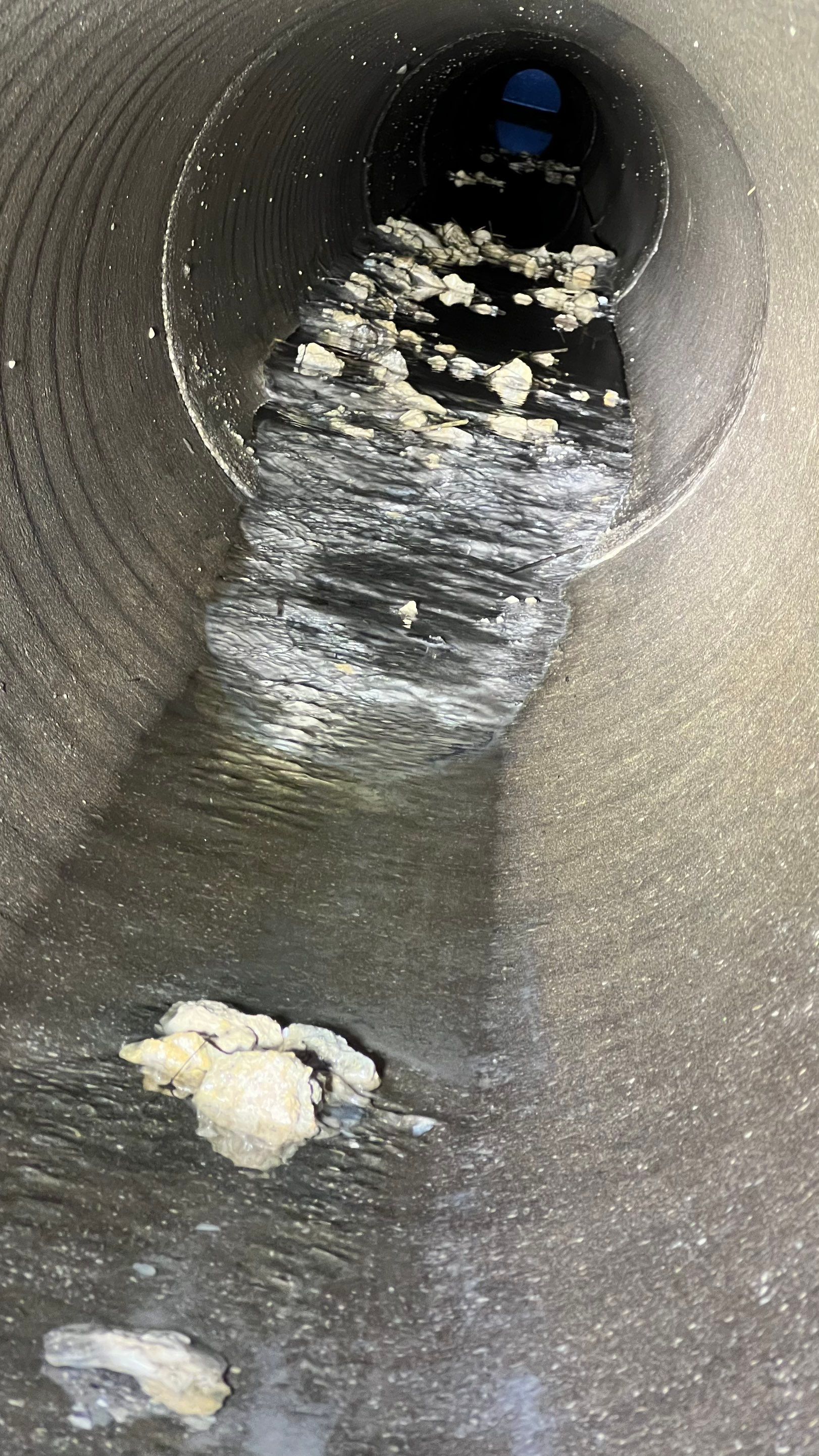 Community Annual Storm System Maintenance and Camera Inspection by APS Power & Water