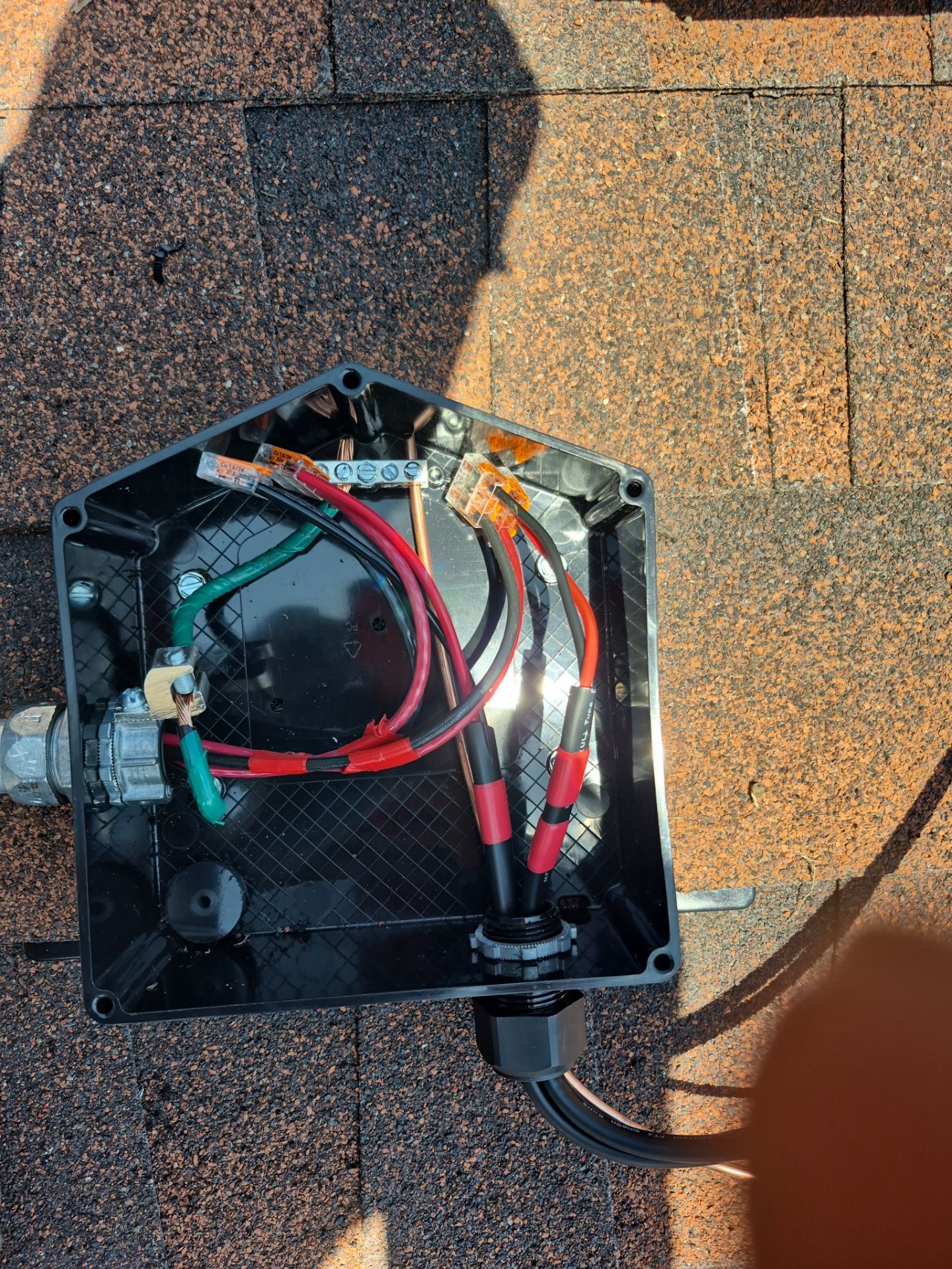 Armando in Mesquite by Trojan Solar
