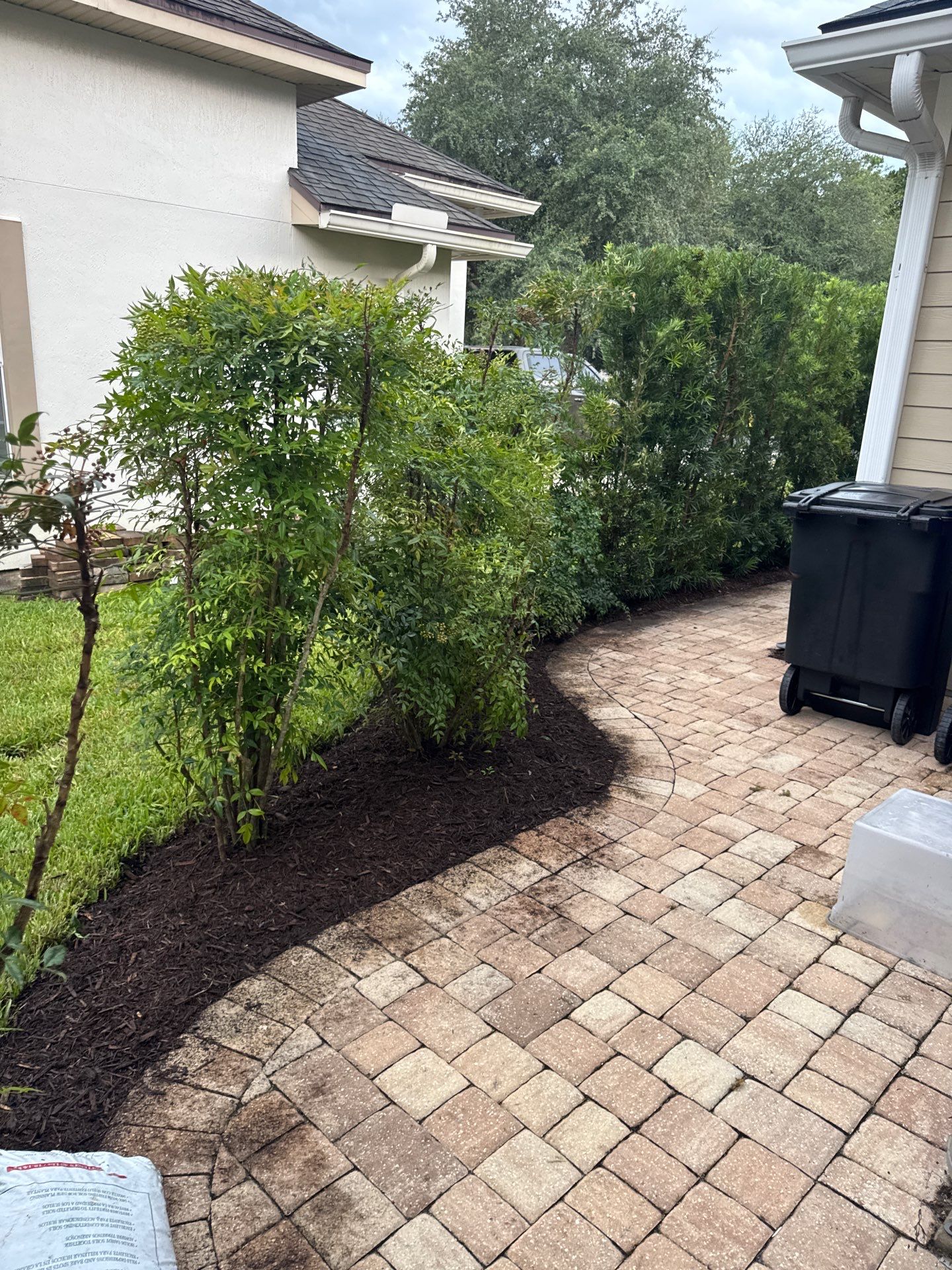 Residential | Sod Installation & Tree Trimming by ProGreen Services